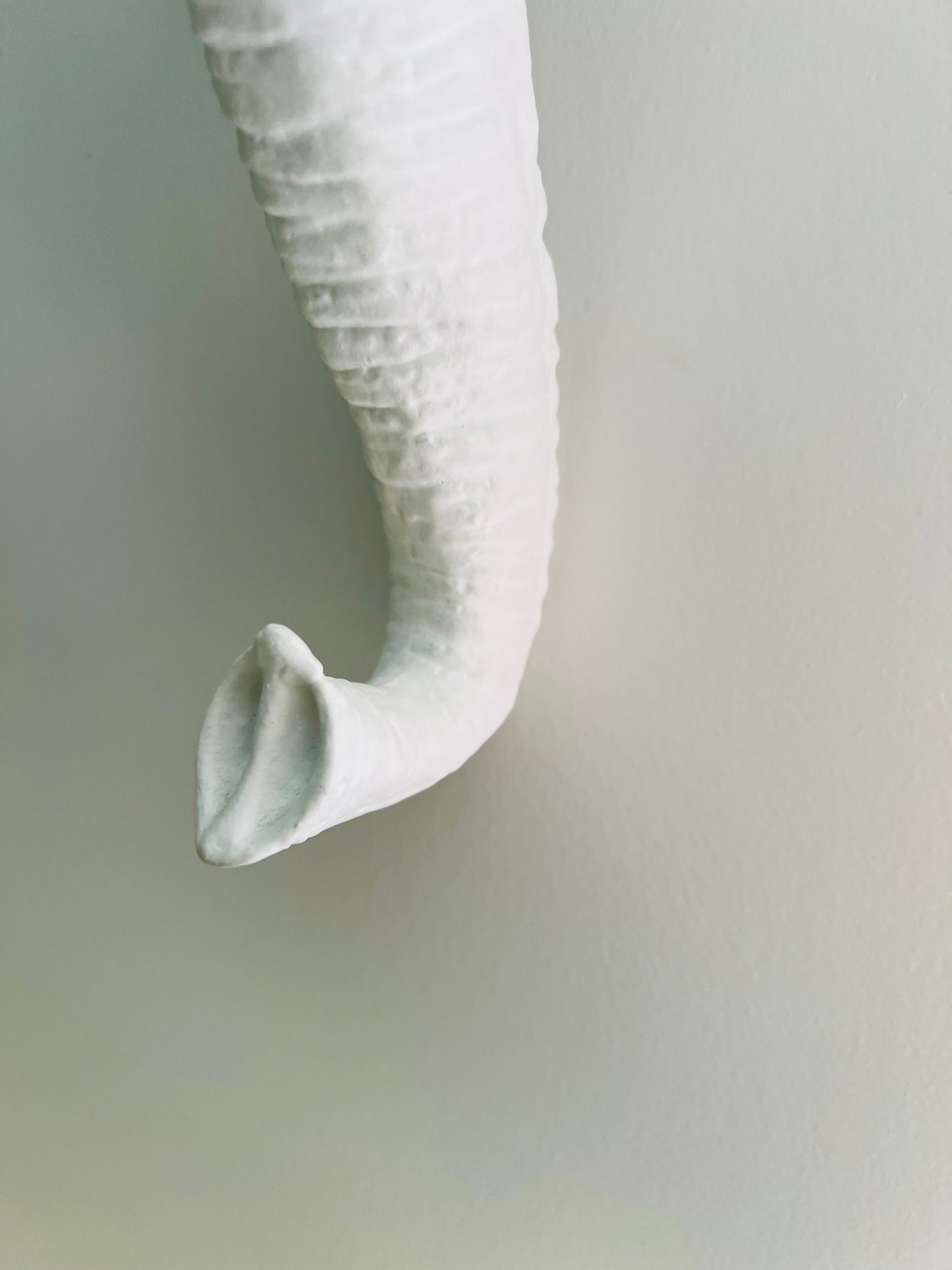 White Elephant Wall Art