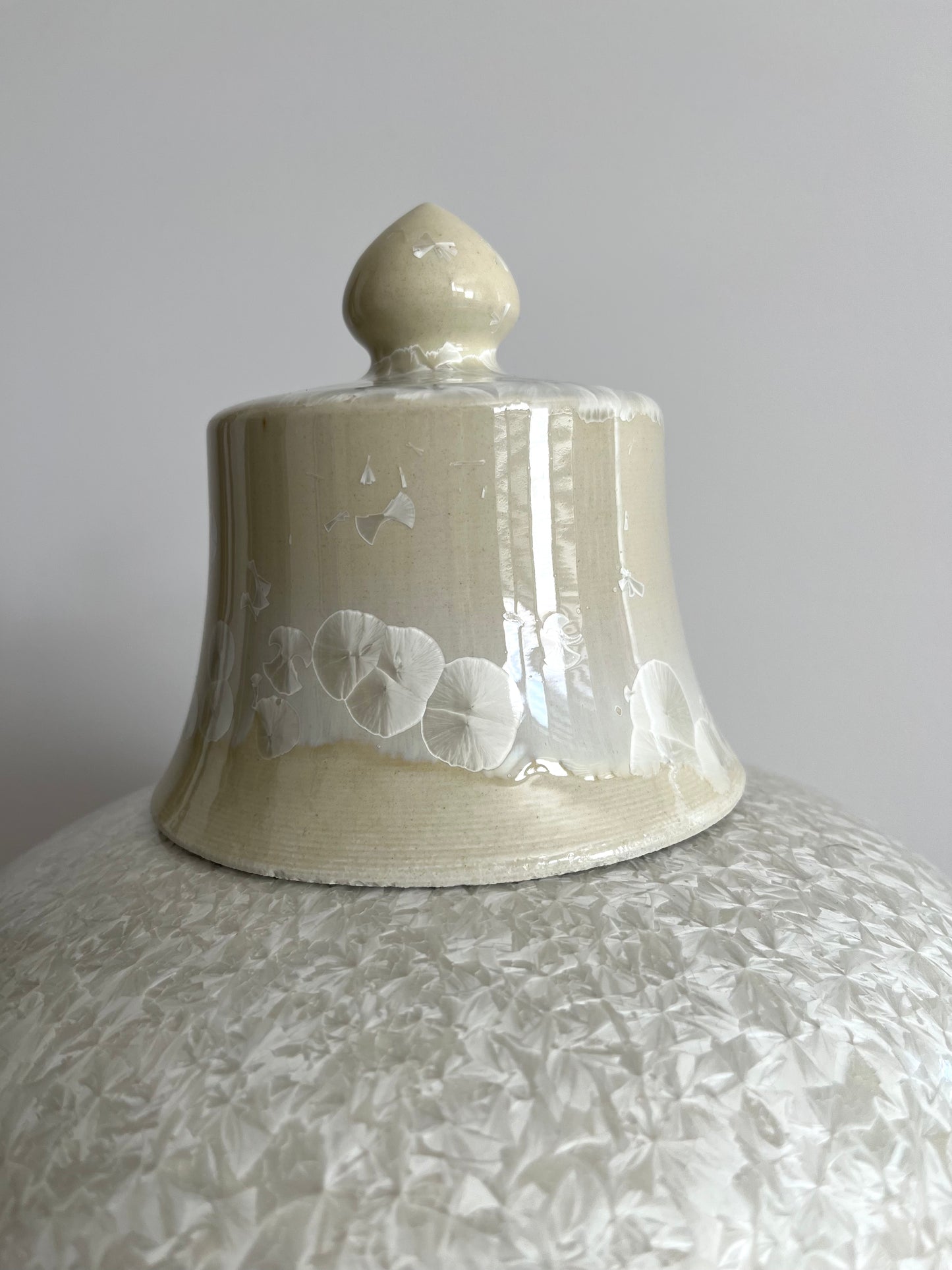 Lovely Large Ginger Jar