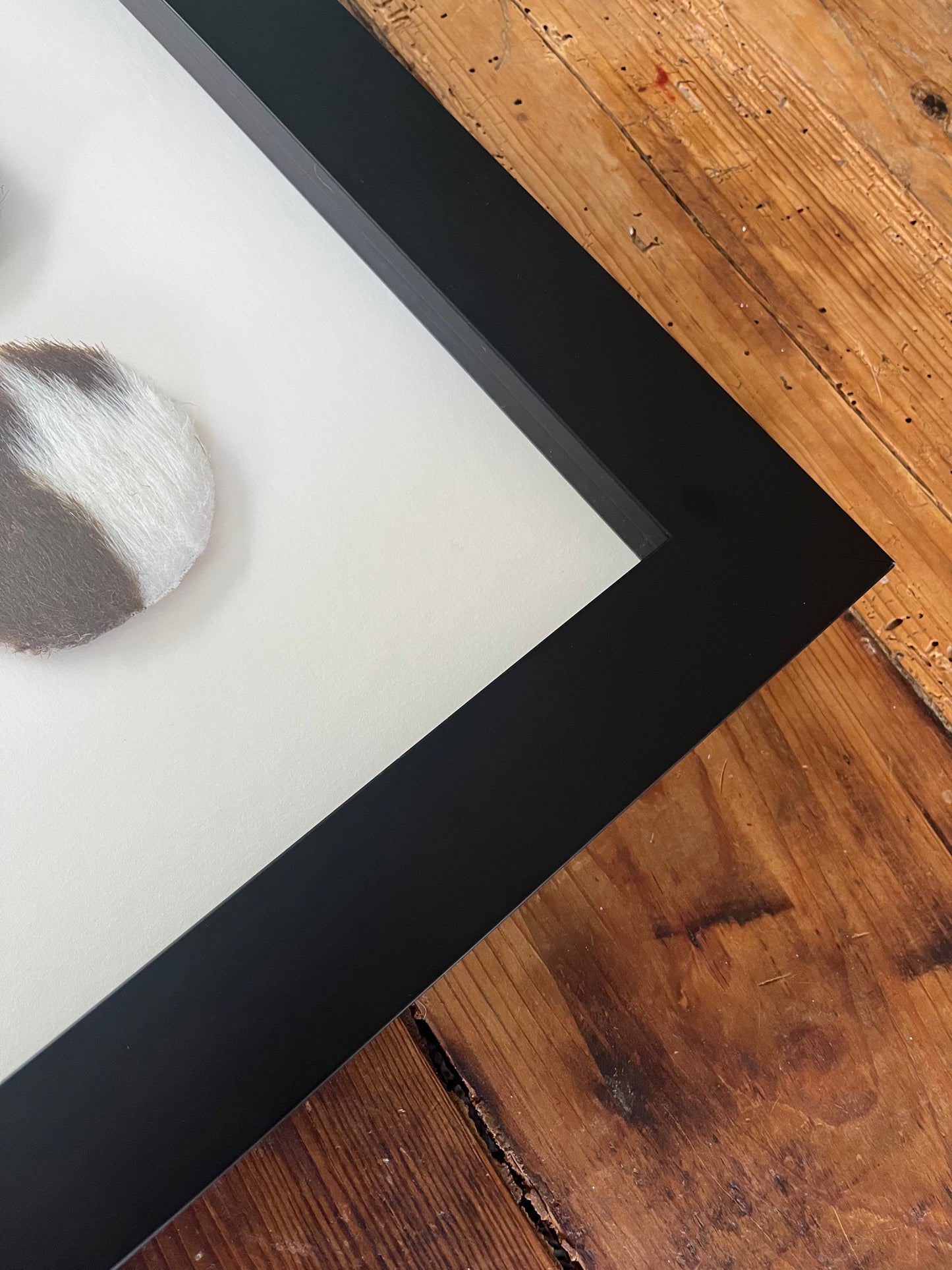 Lovely Framed Cowhide Art