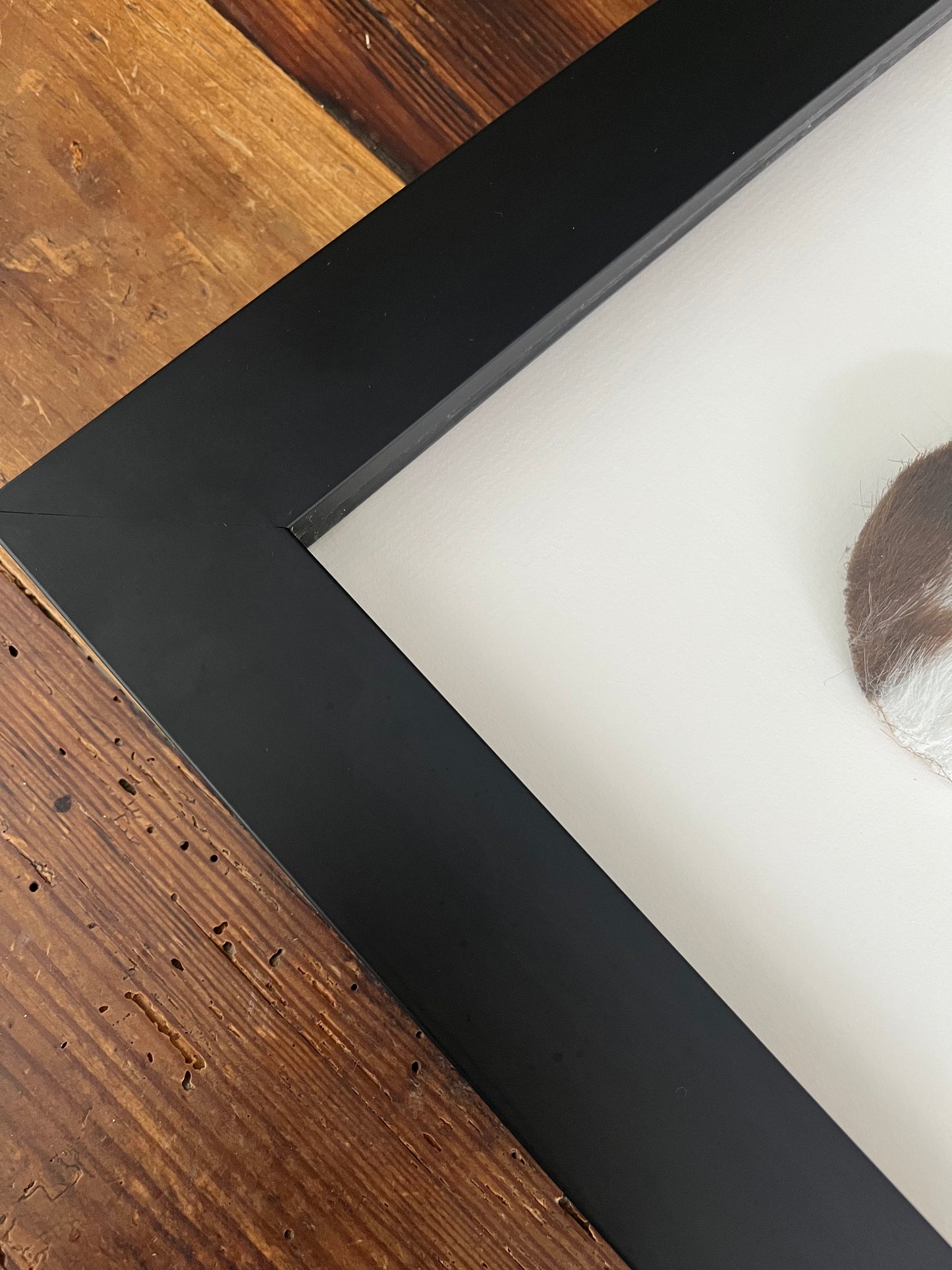 Lovely Framed Cowhide Art