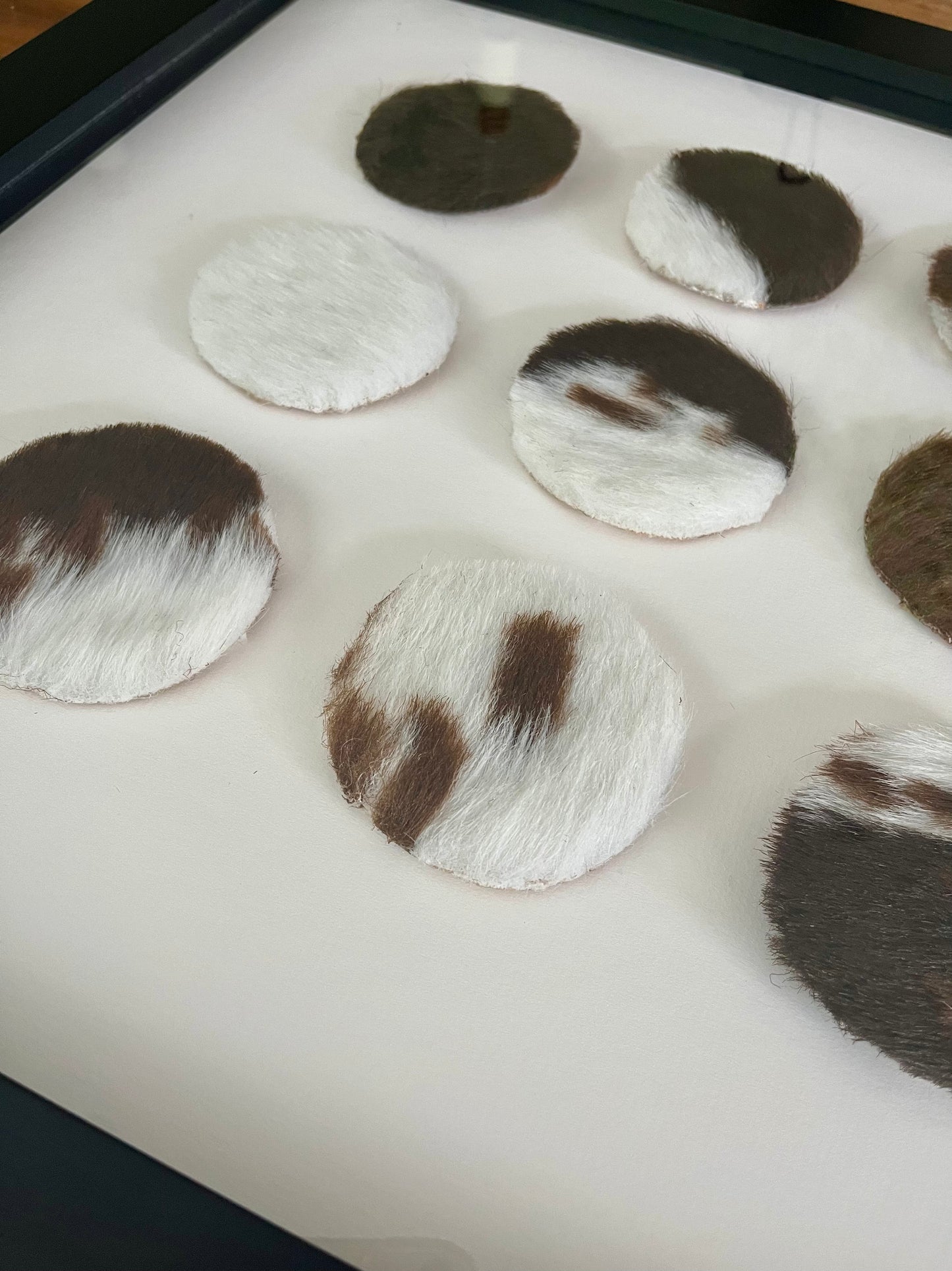 Lovely Framed Cowhide Art