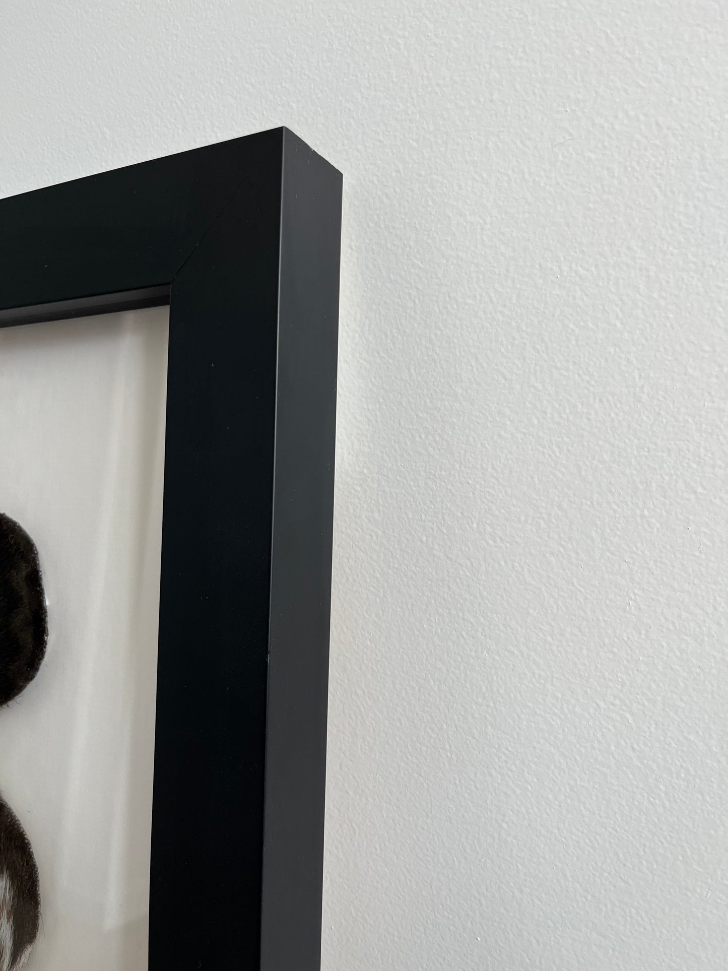 Lovely Framed Cowhide Art