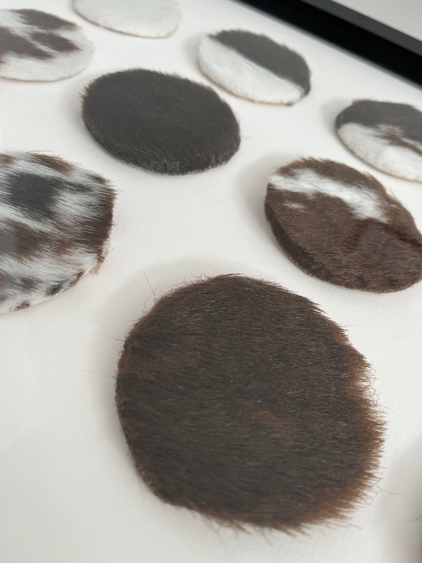 Lovely Framed Cowhide Art