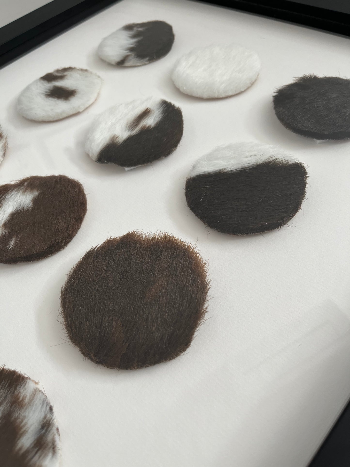 Lovely Framed Cowhide Art