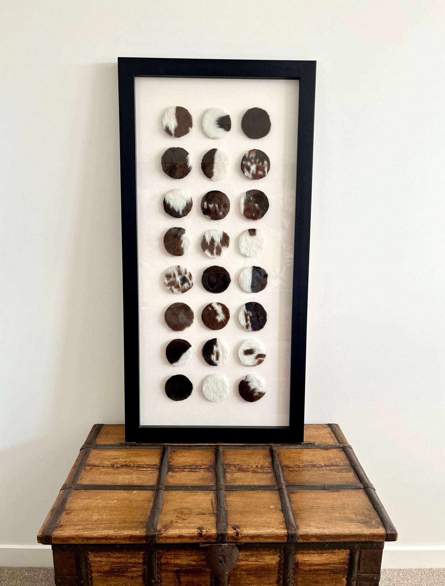 Lovely Framed Cowhide Art