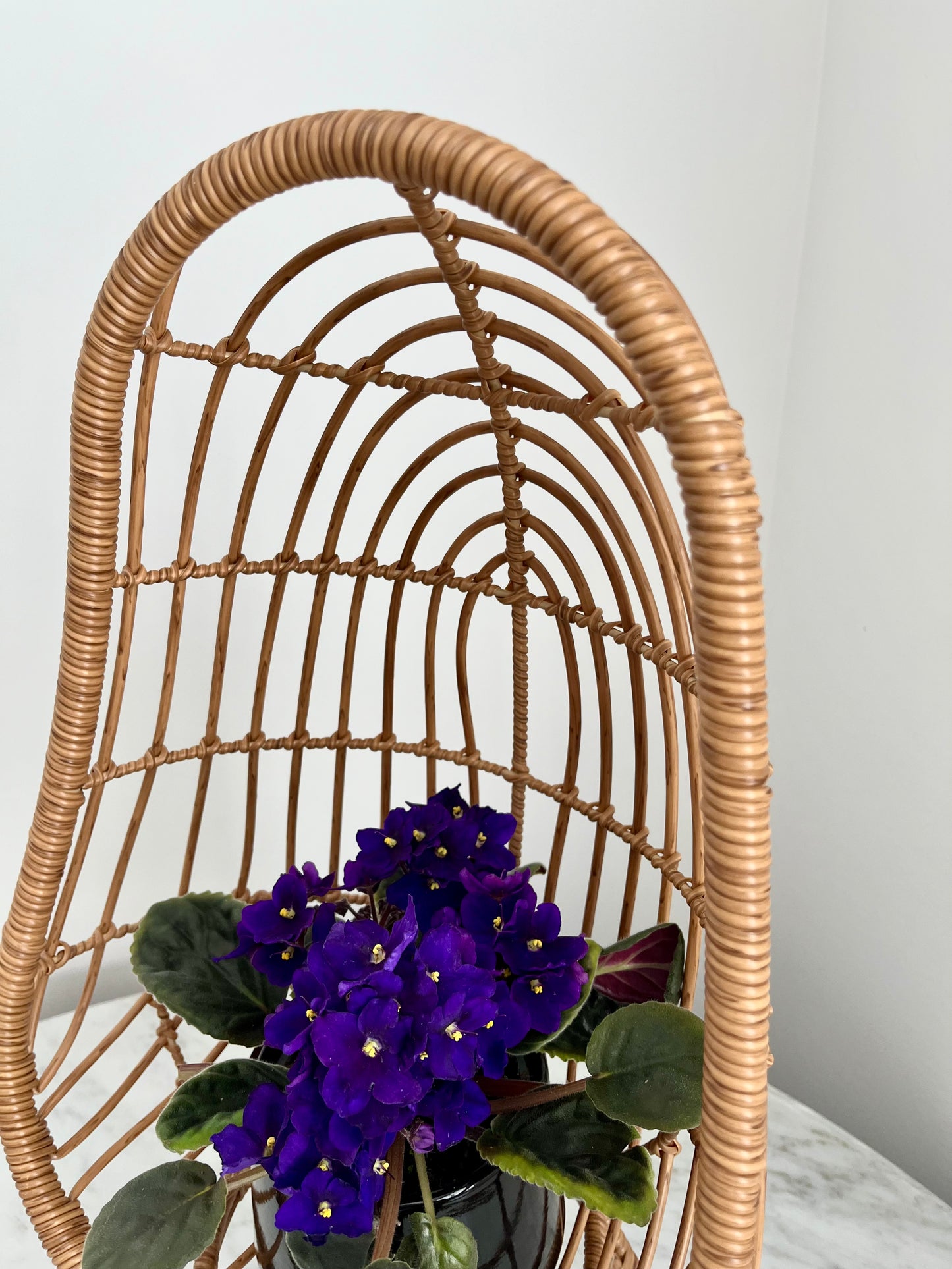 Funky Mini Egg Chair Plant Stand
