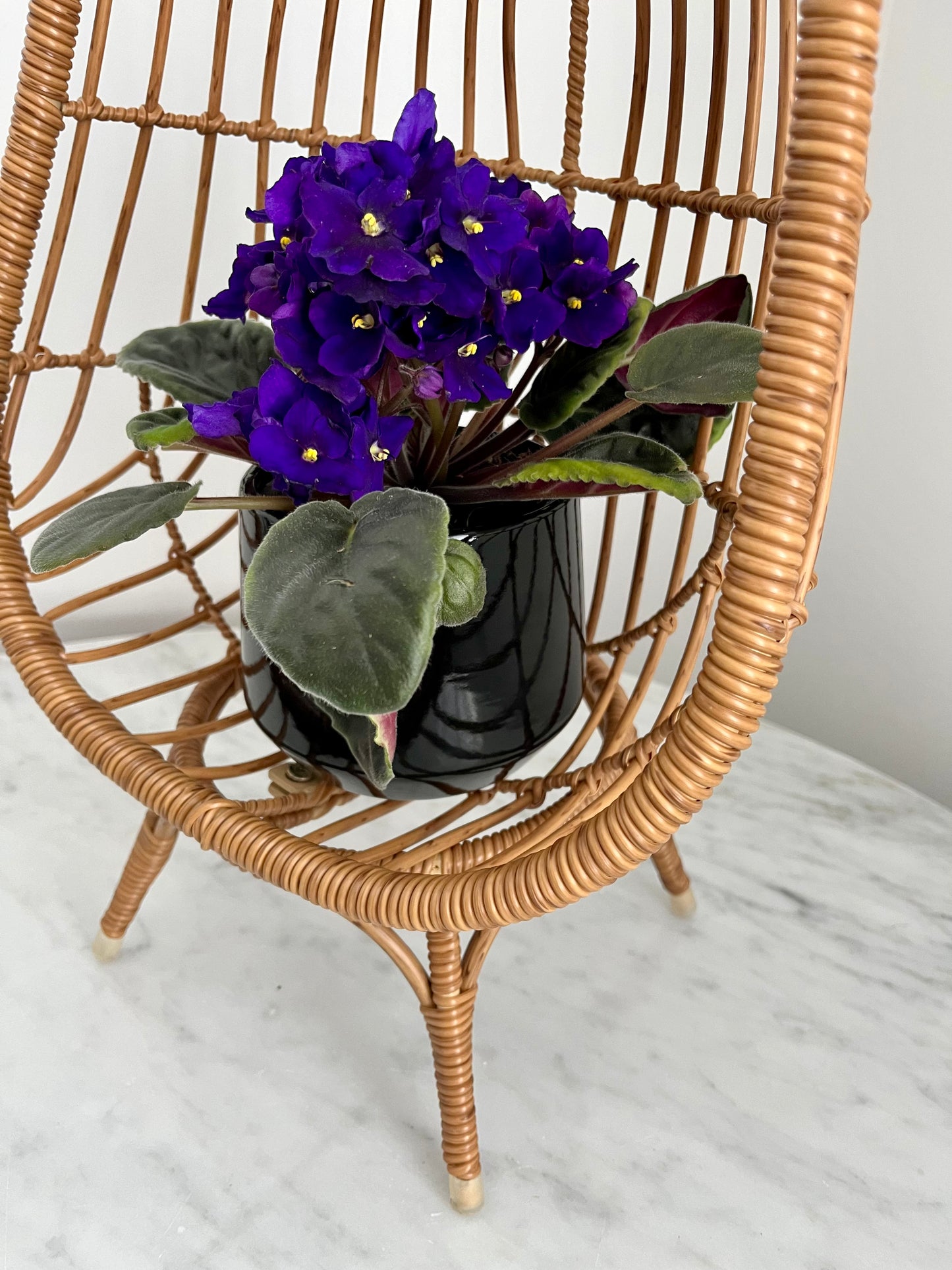 Funky Mini Egg Chair Plant Stand