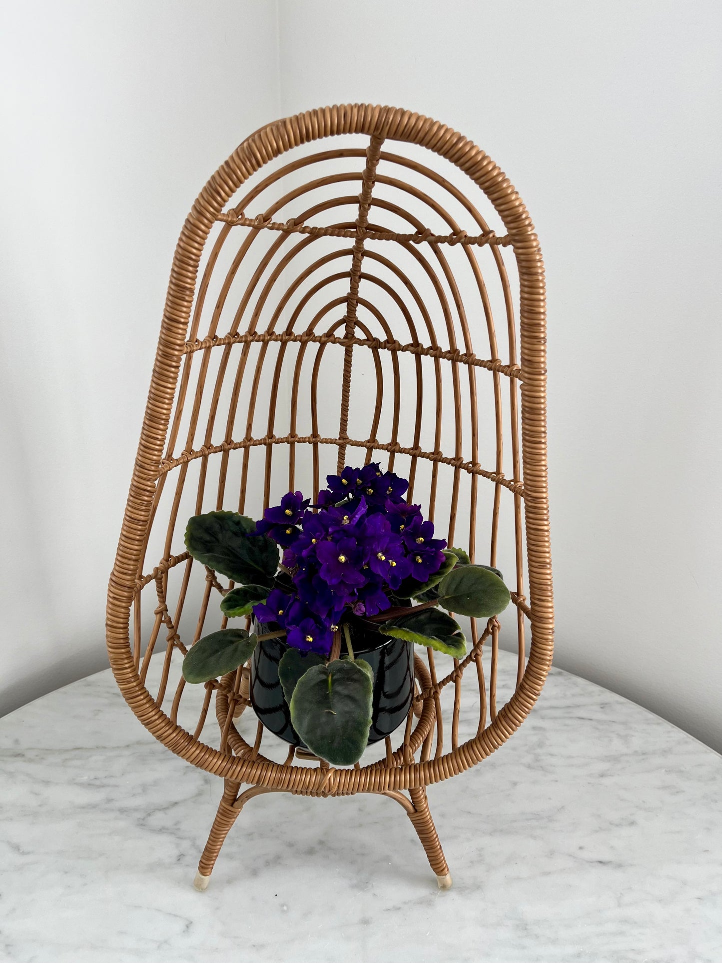 Funky Mini Egg Chair Plant Stand