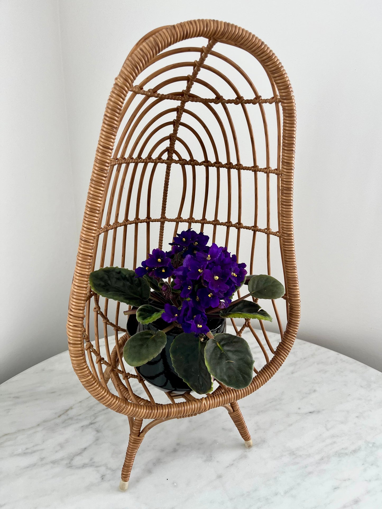 Funky Mini Egg Chair Plant Stand