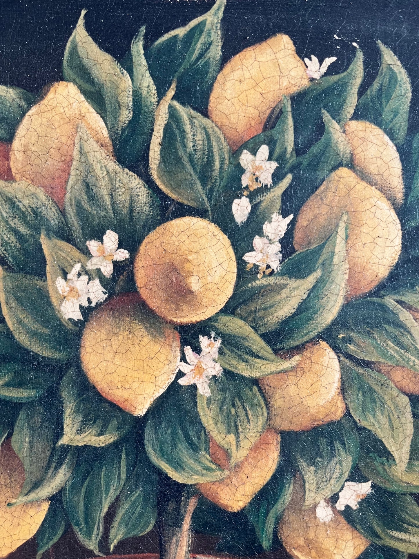 Beautiful Trio of French Canvas Gold Framed Prints