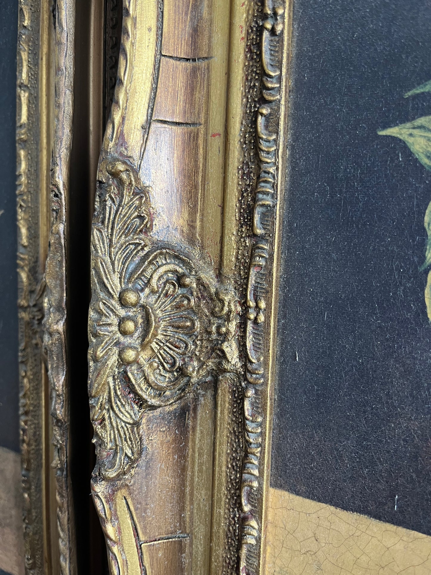 Beautiful Trio of French Canvas Gold Framed Prints