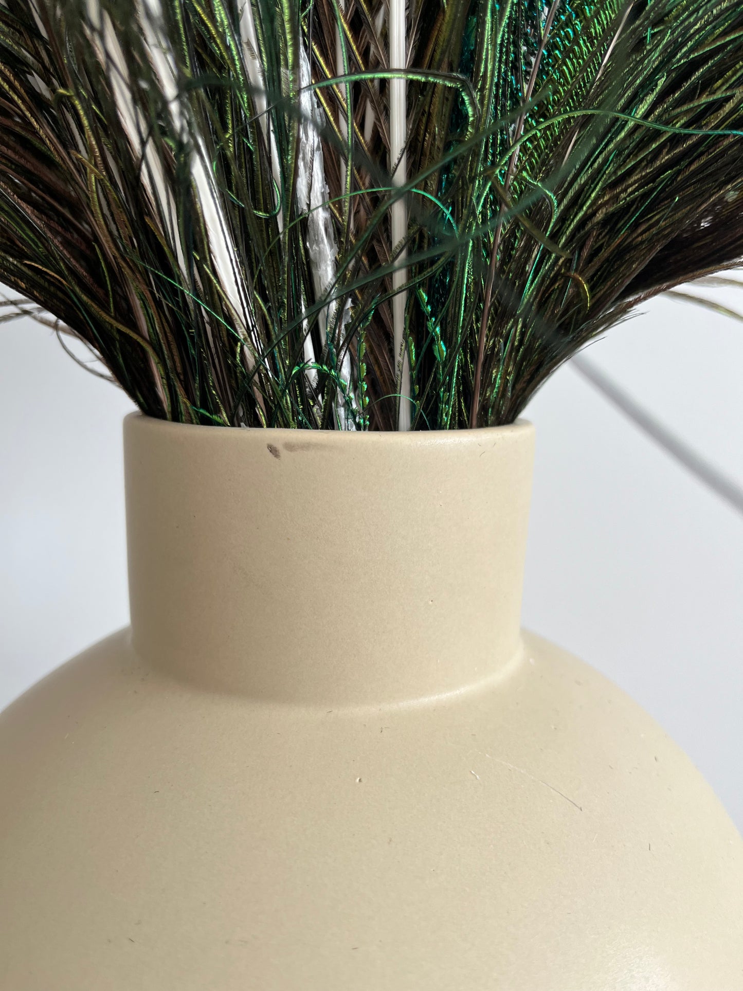 Lovely Lantern Vase with Peacock Feathers