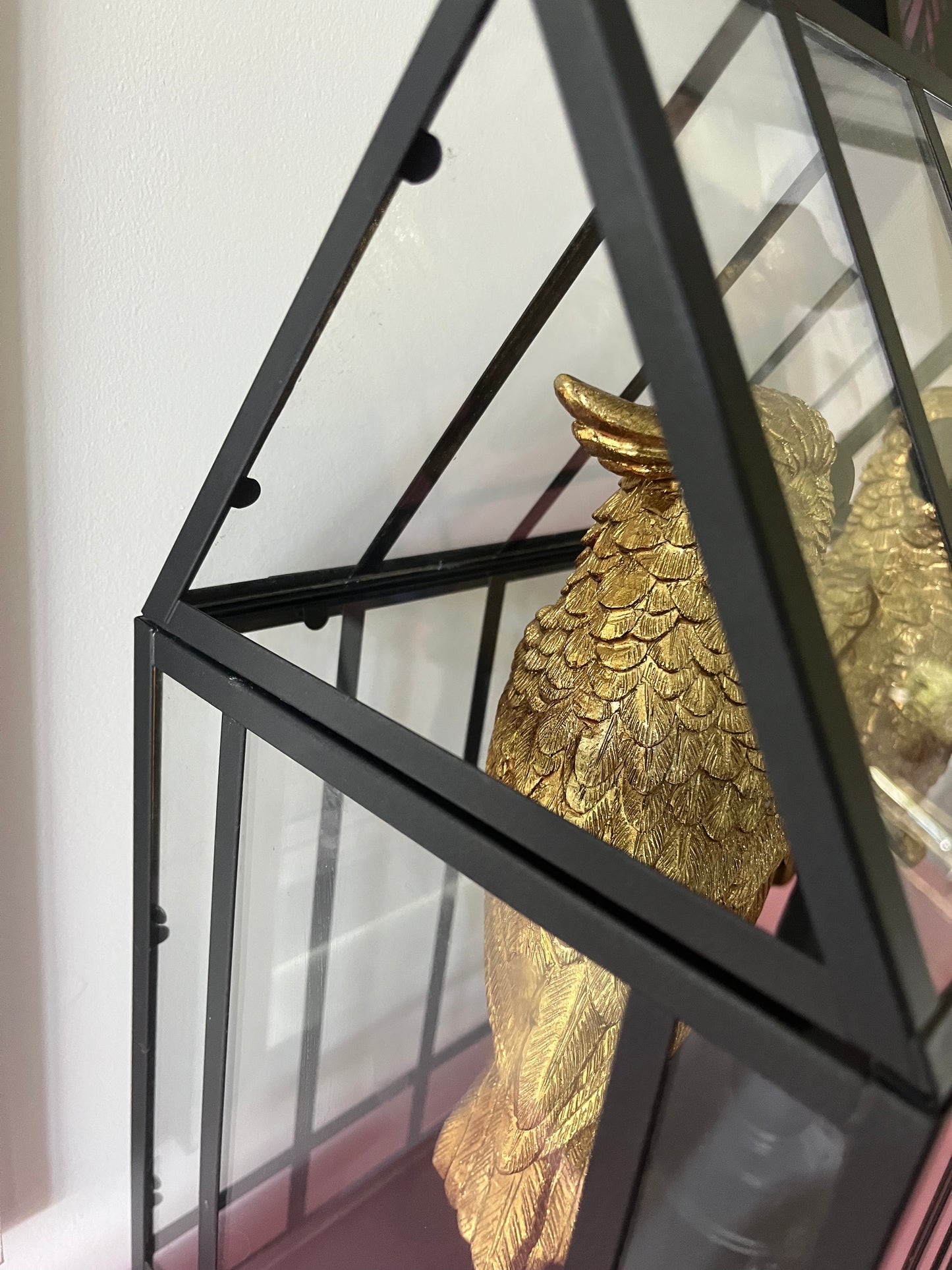 Gorgeous Pair of Gold Cockatoos in Glasshouse
