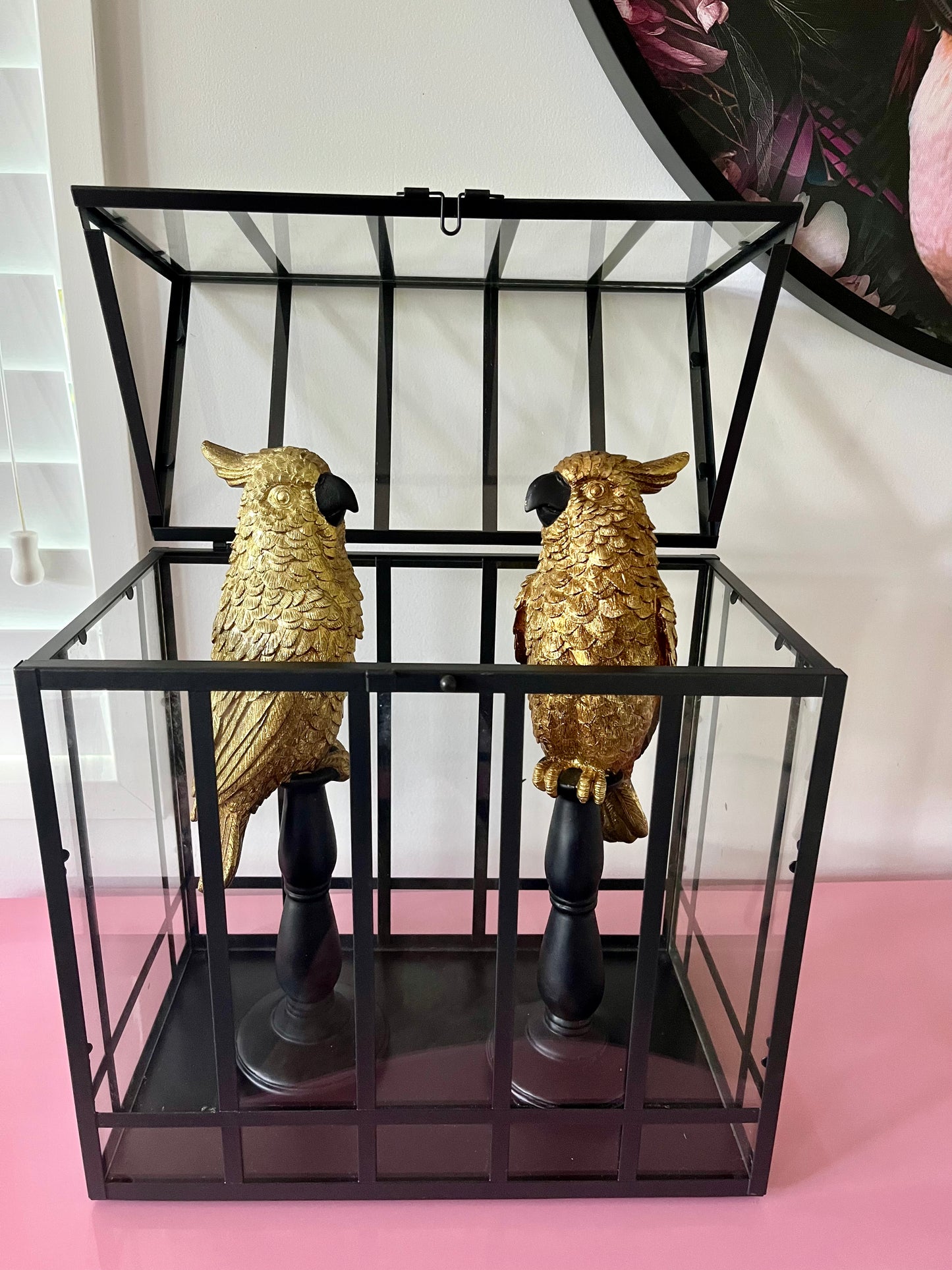 Gorgeous Pair of Gold Cockatoos in Glasshouse