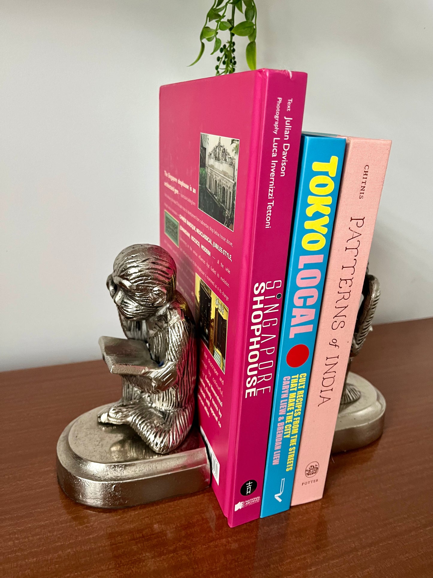 Monkey Reading Bookends
