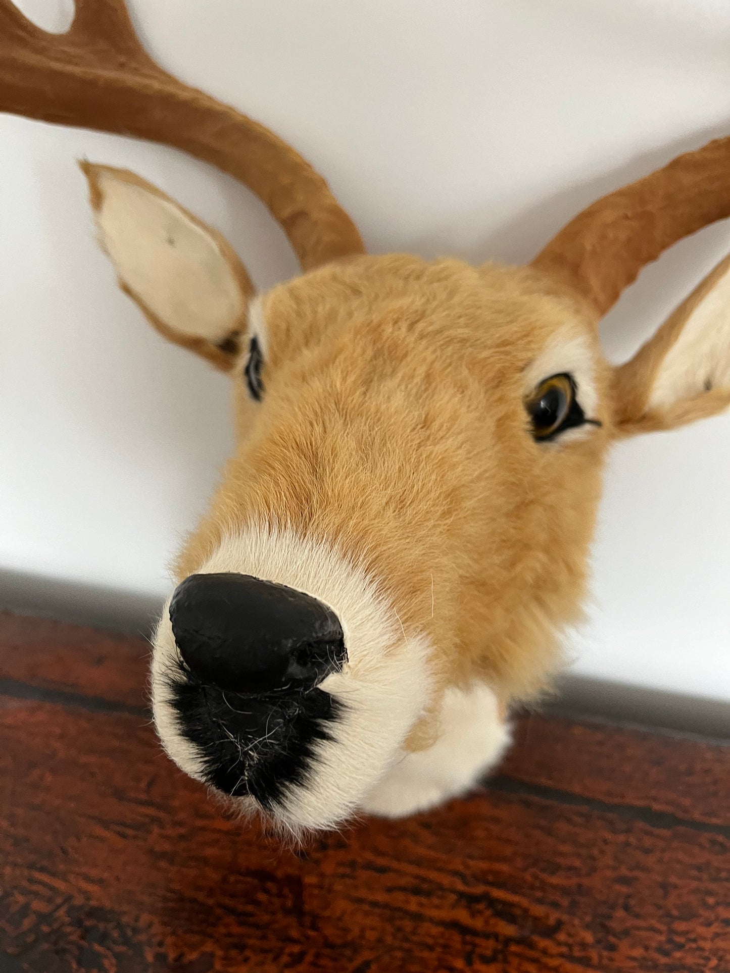Cute Deer Head Wall Decor