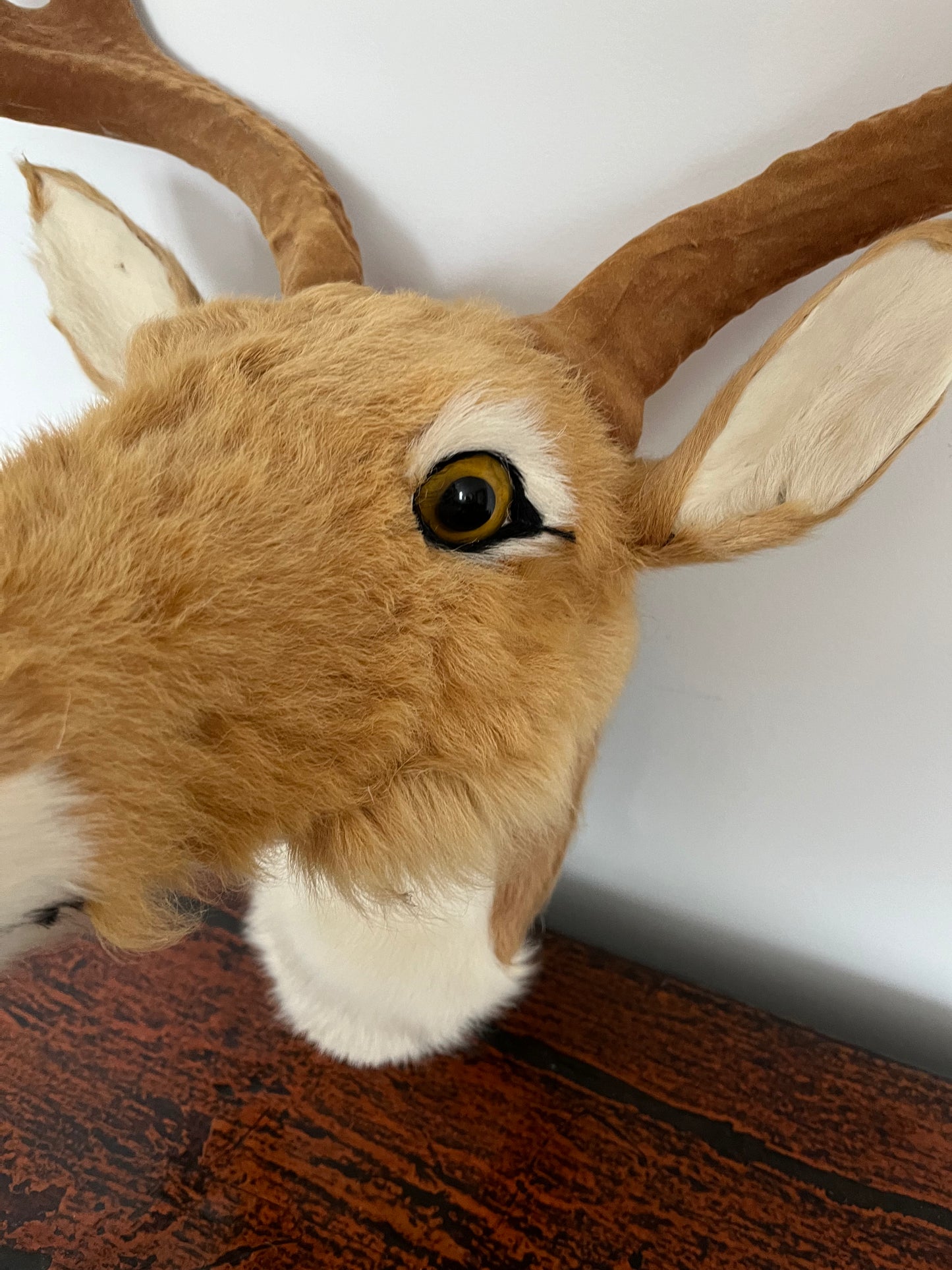 Cute Deer Head Wall Decor