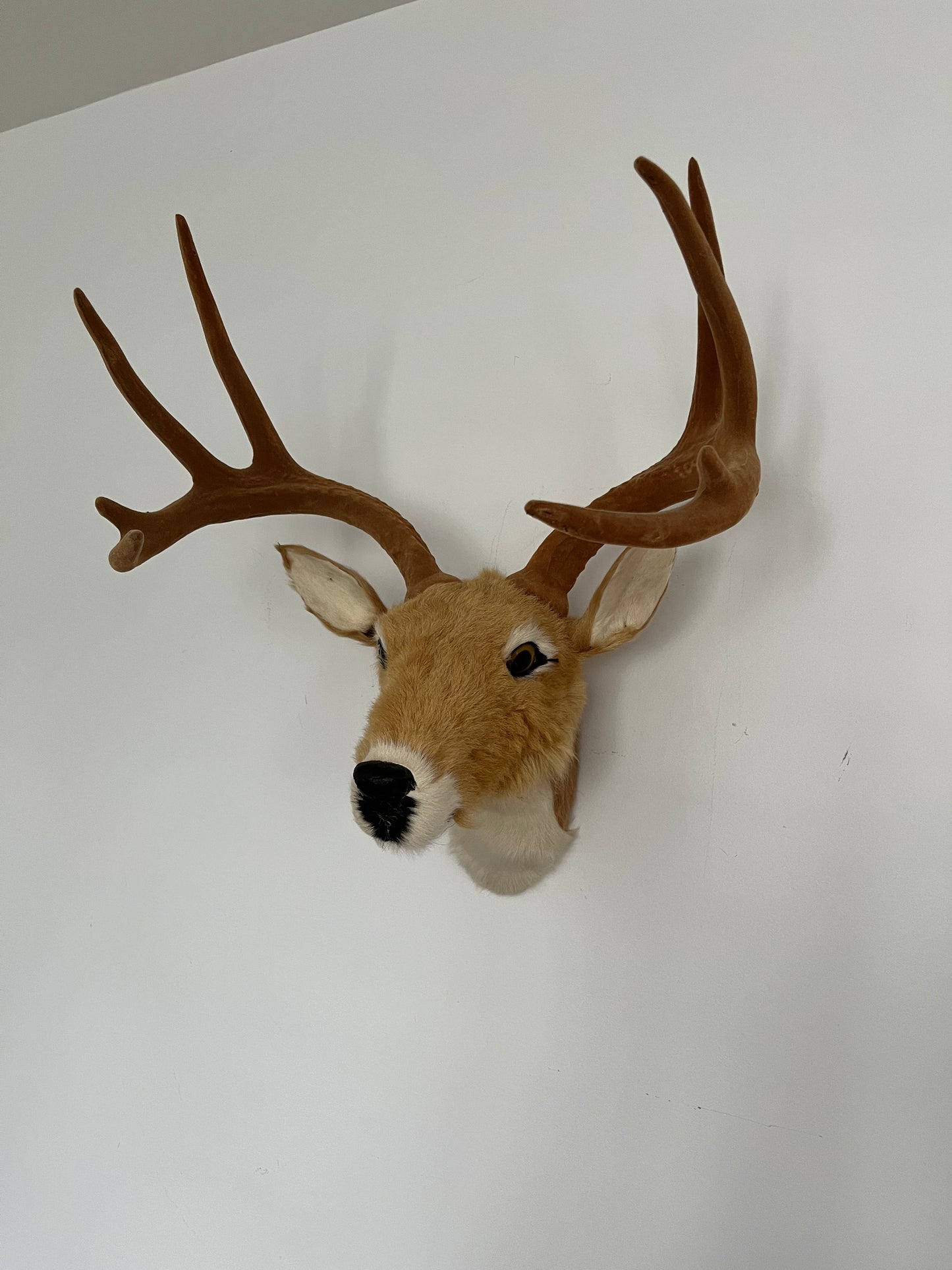 Cute Deer Head Wall Decor