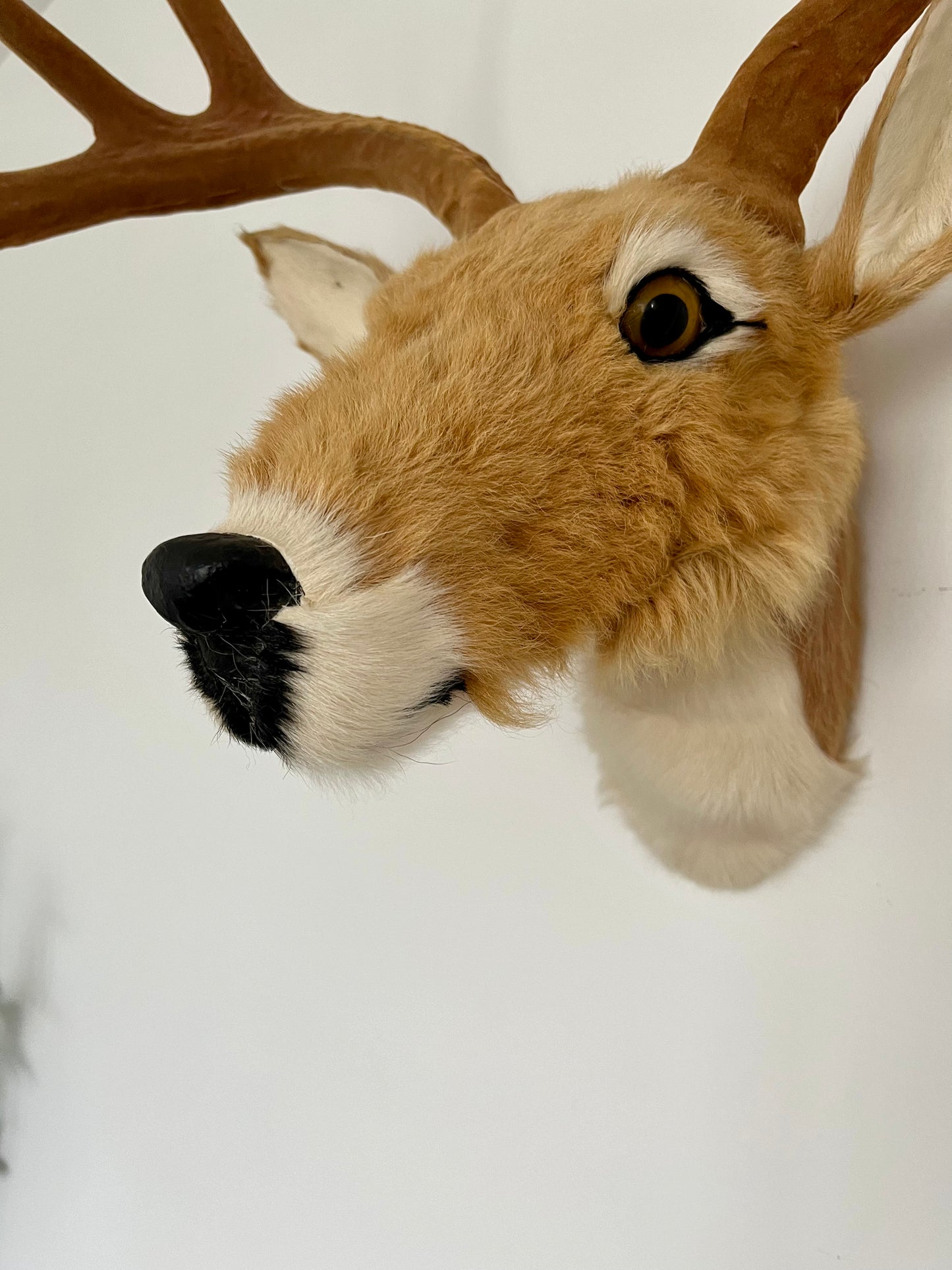 Cute Deer Head Wall Decor