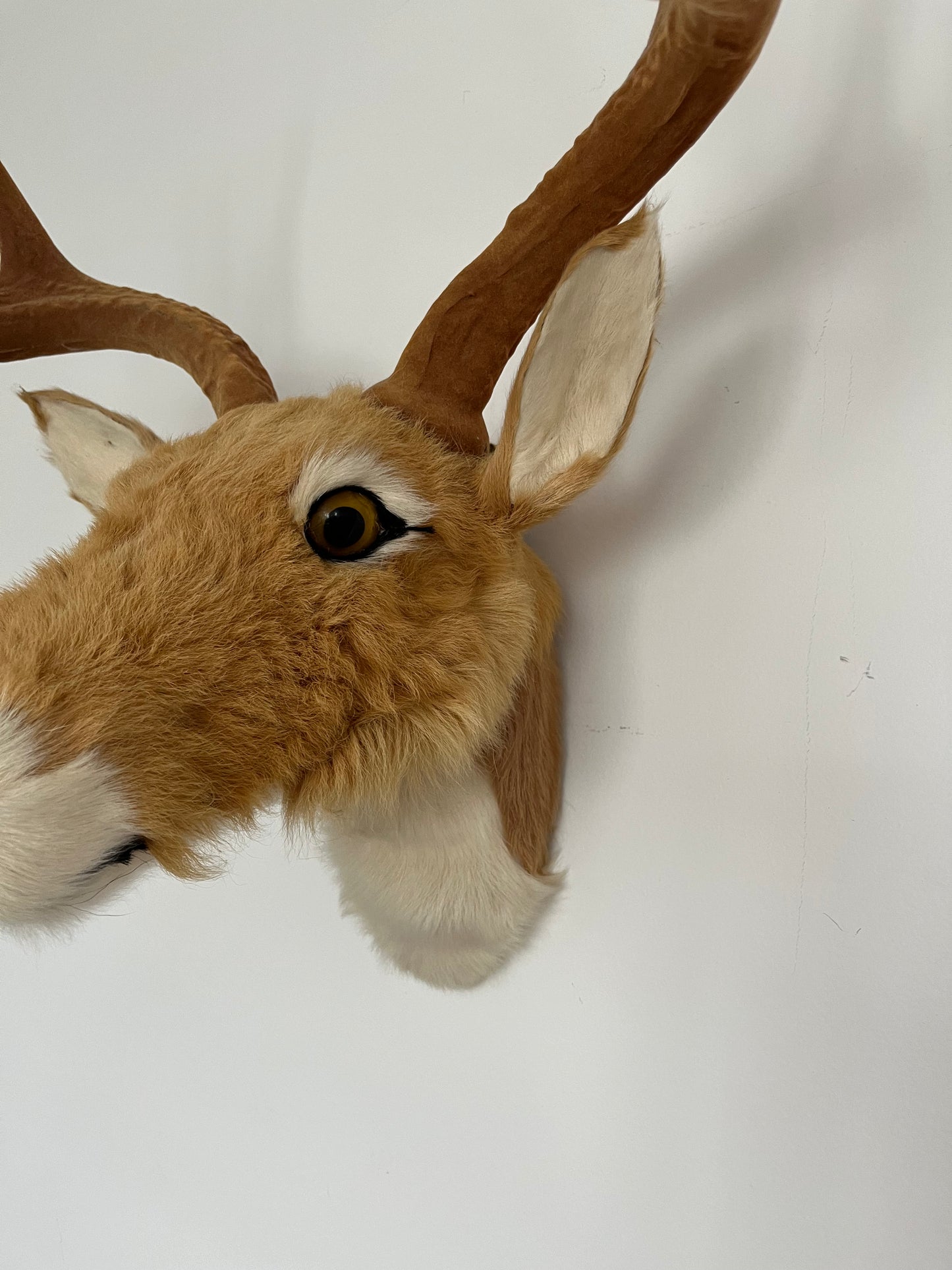 Cute Deer Head Wall Decor