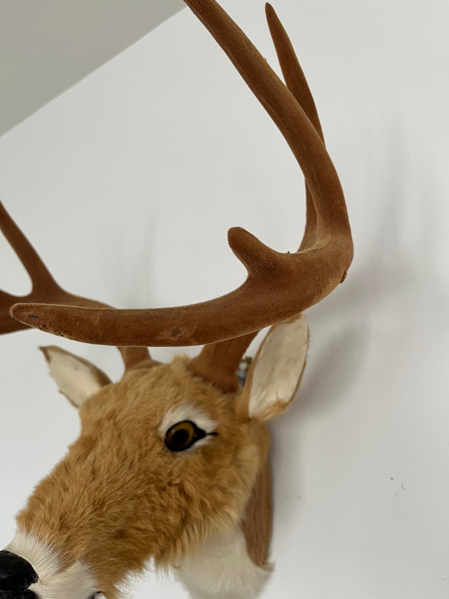 Cute Deer Head Wall Decor
