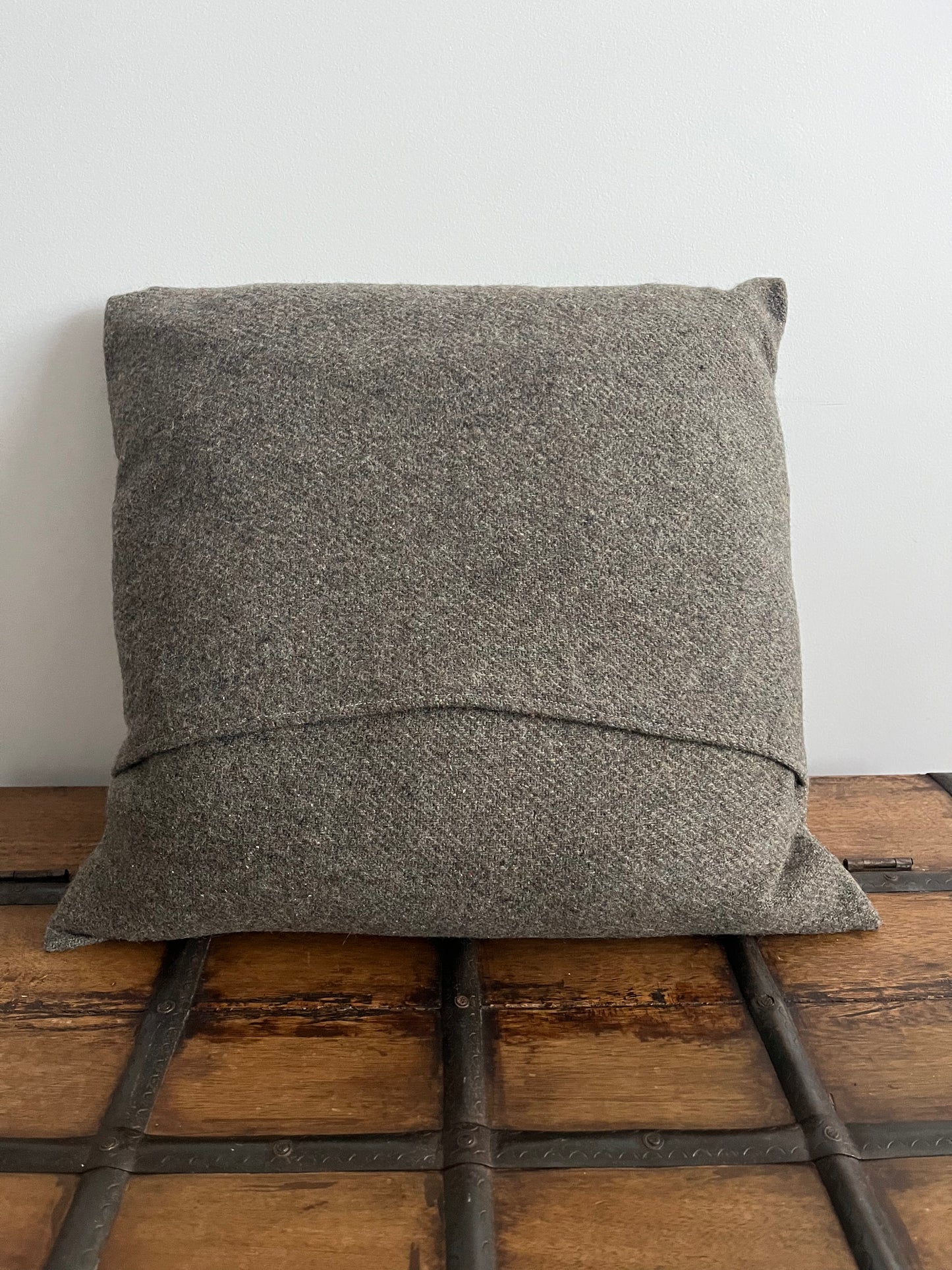 Don't Be A Dick Cushion