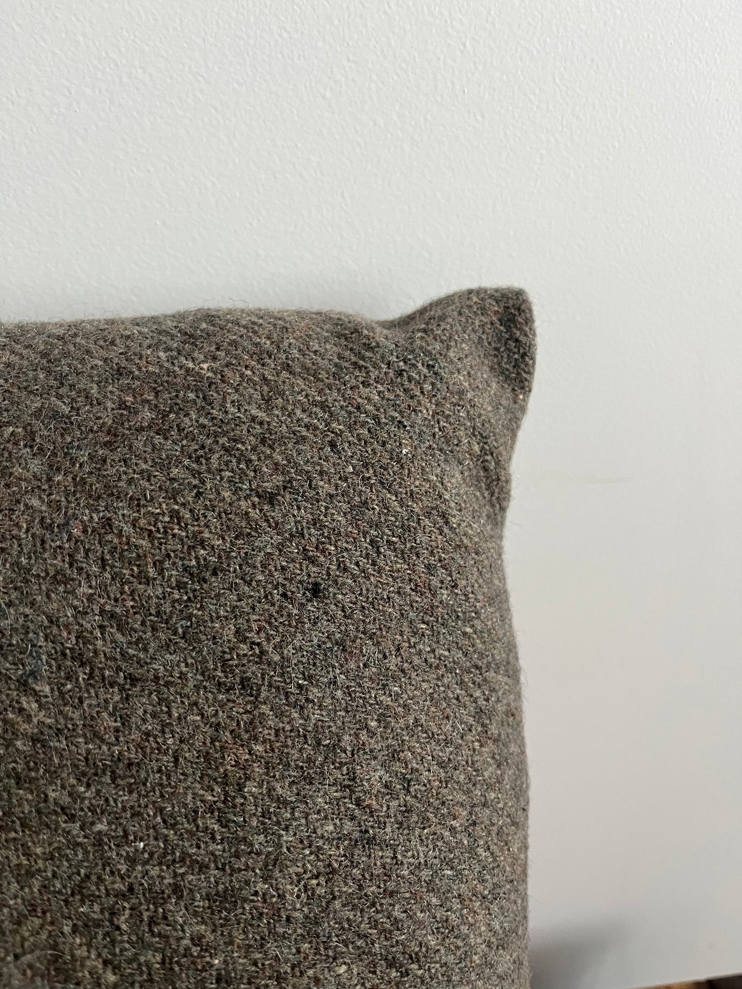 Don't Be A Dick Cushion