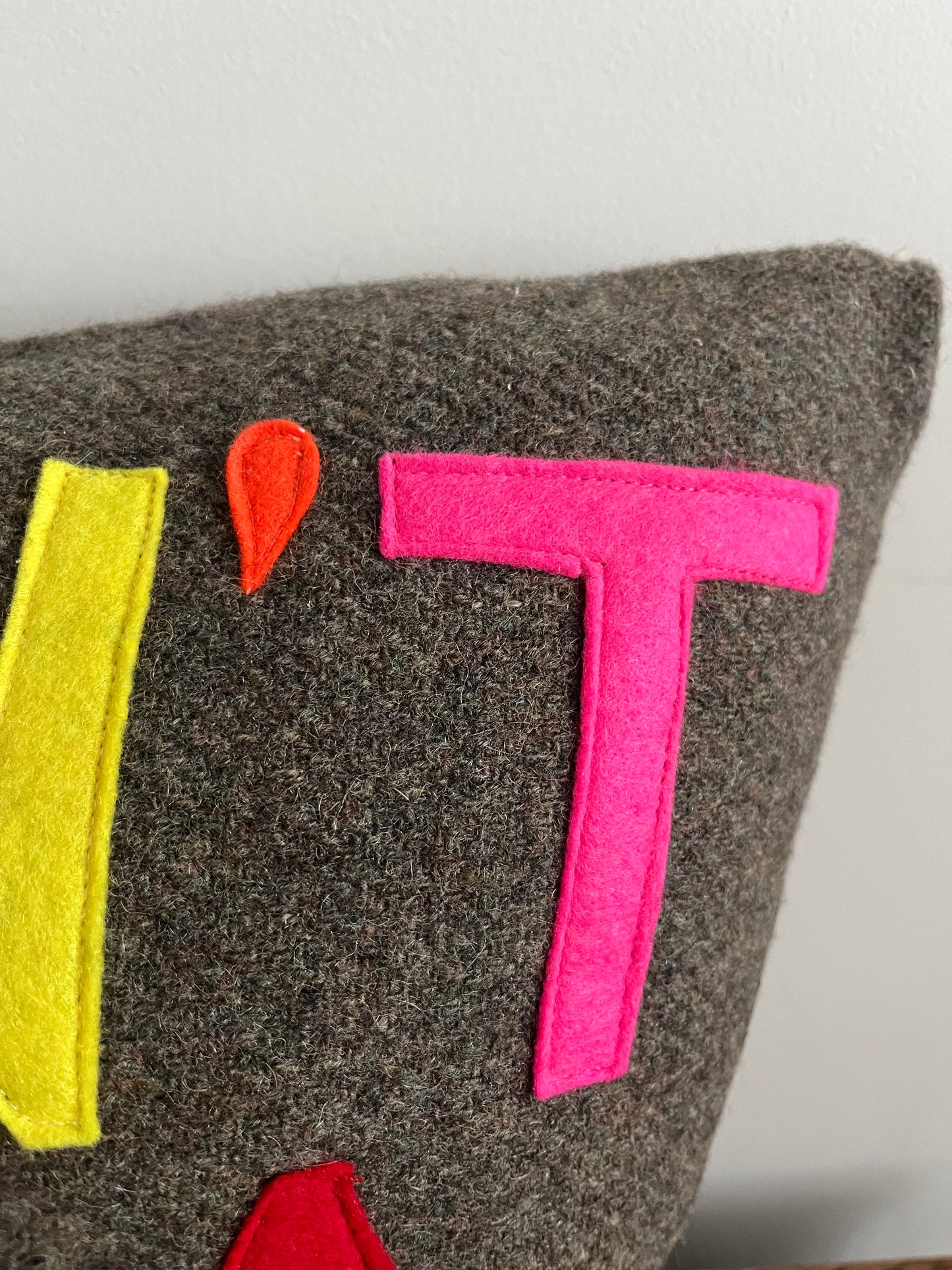 Don't Be A Dick Cushion