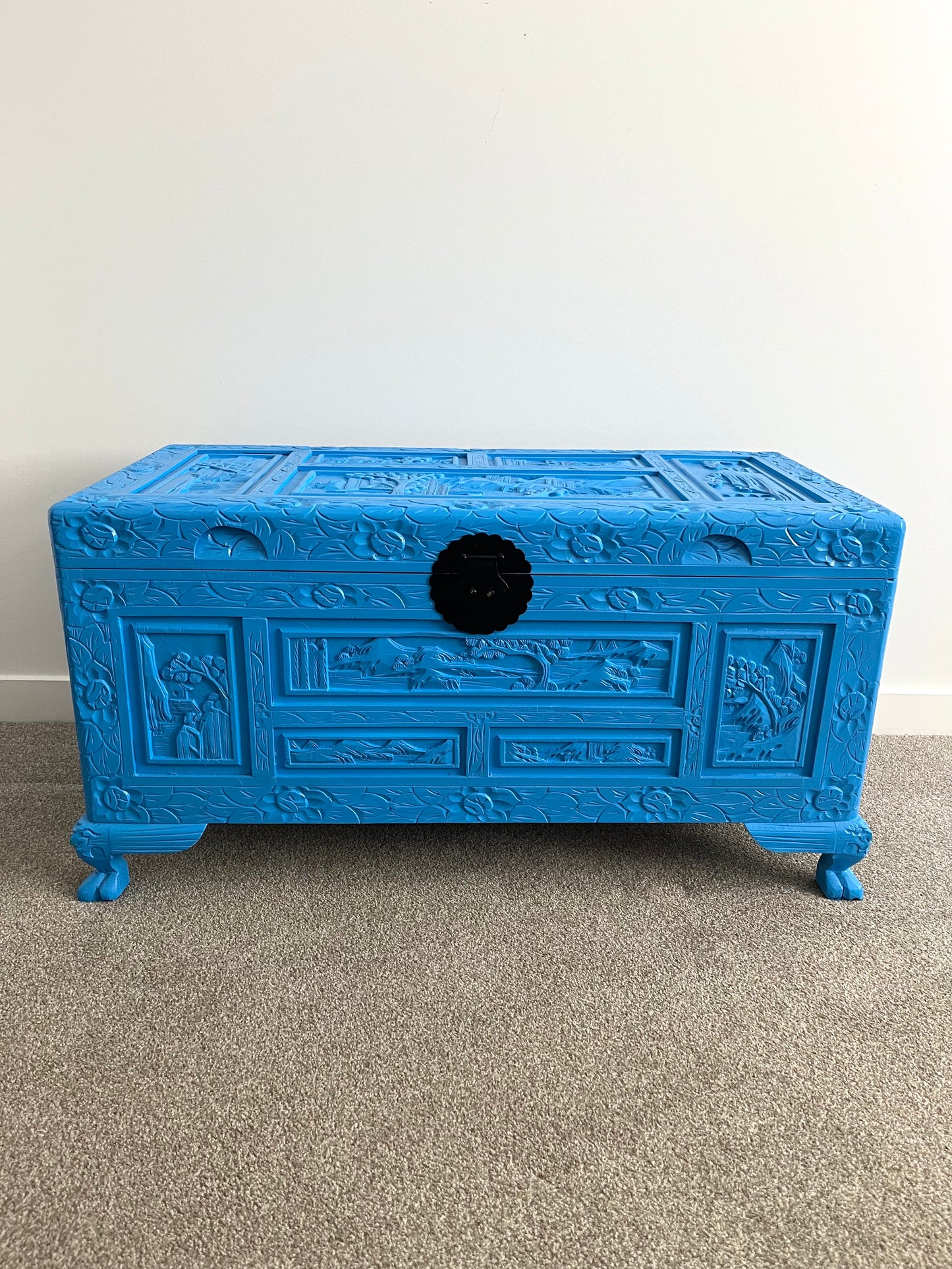 Beautiful Blue Camphor Chest