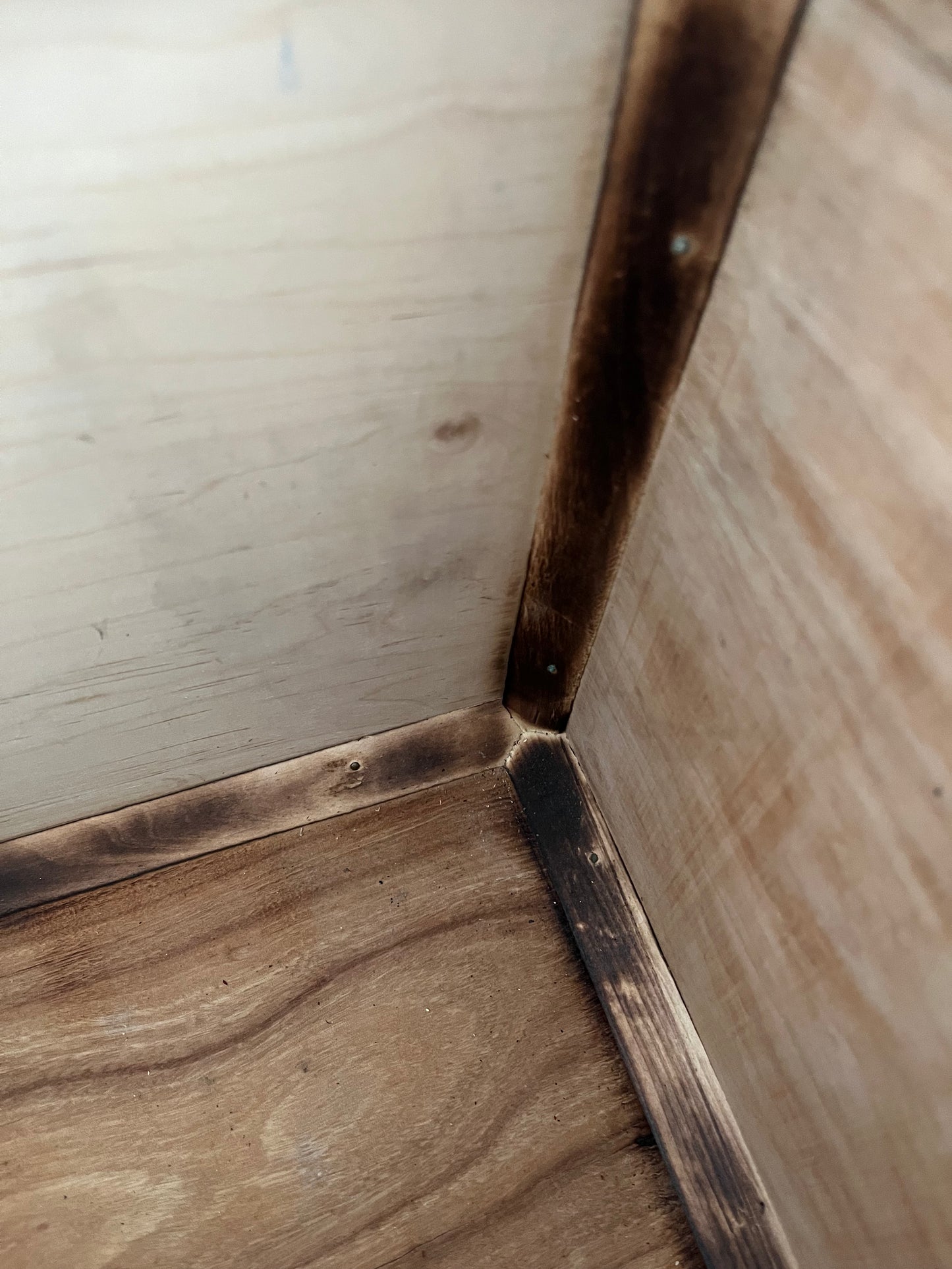 Beautiful Blue Camphor Chest
