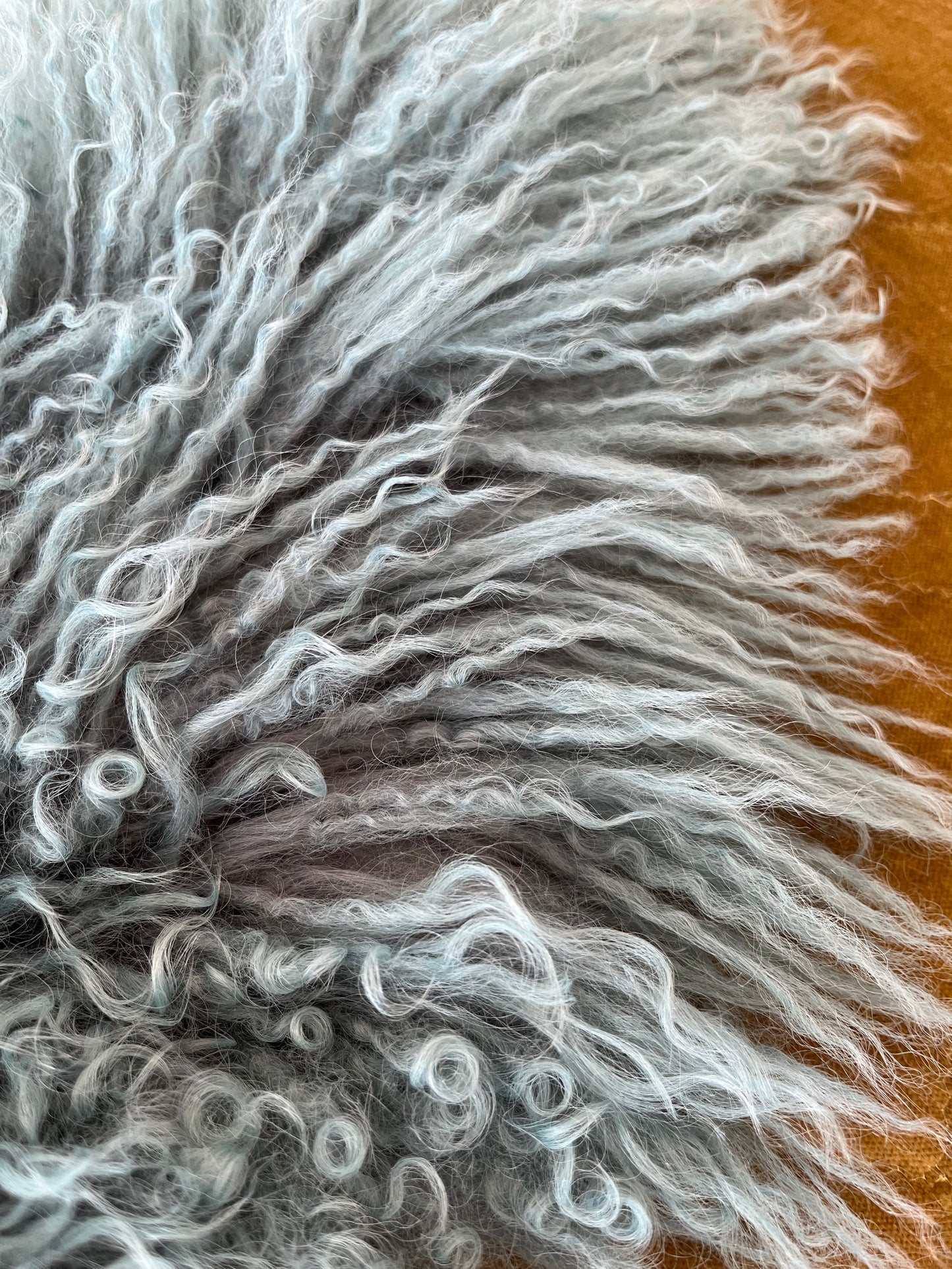 Gorgeous Tibetan Lambskin