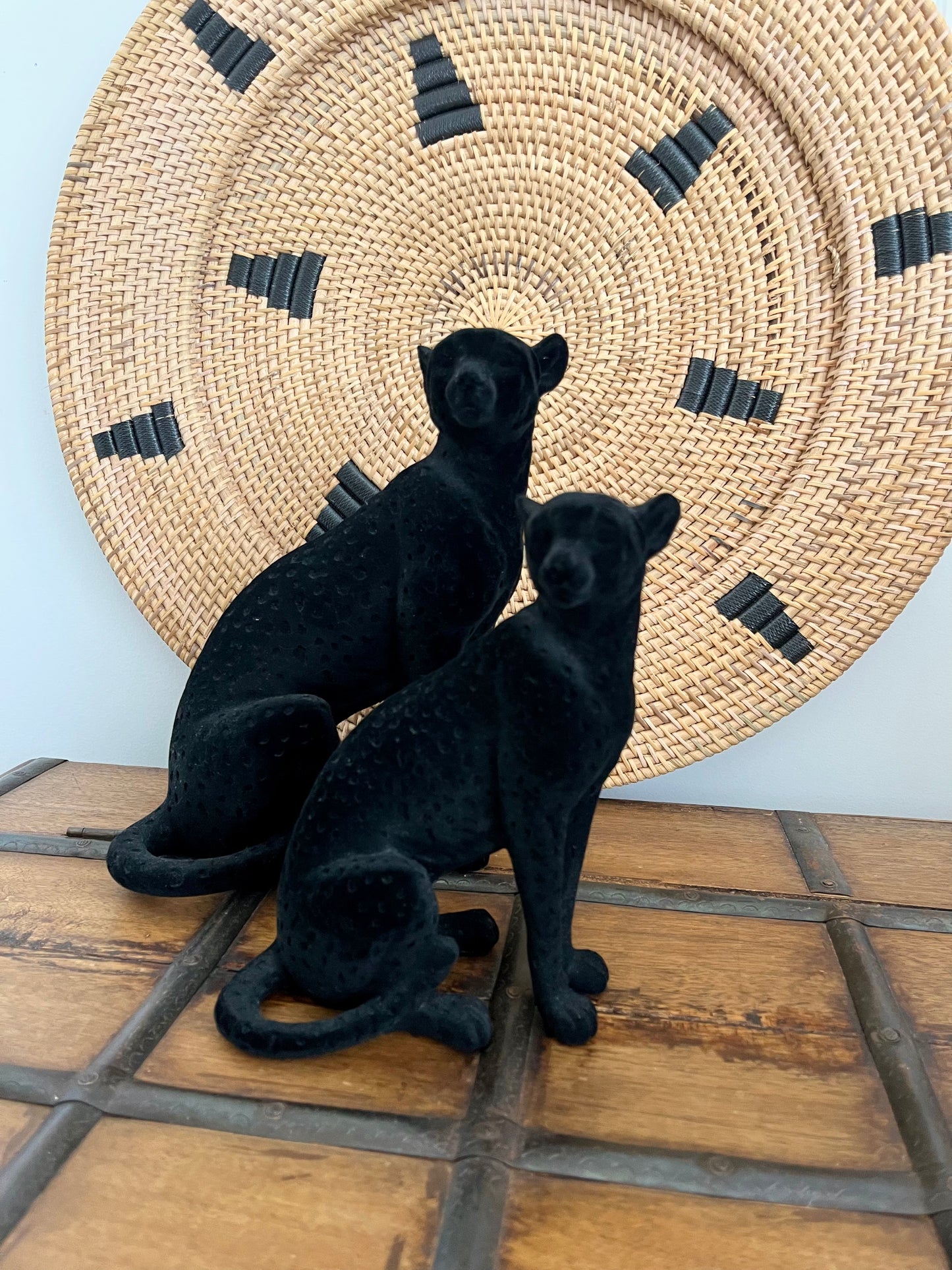 Beautiful pair of Black Cats