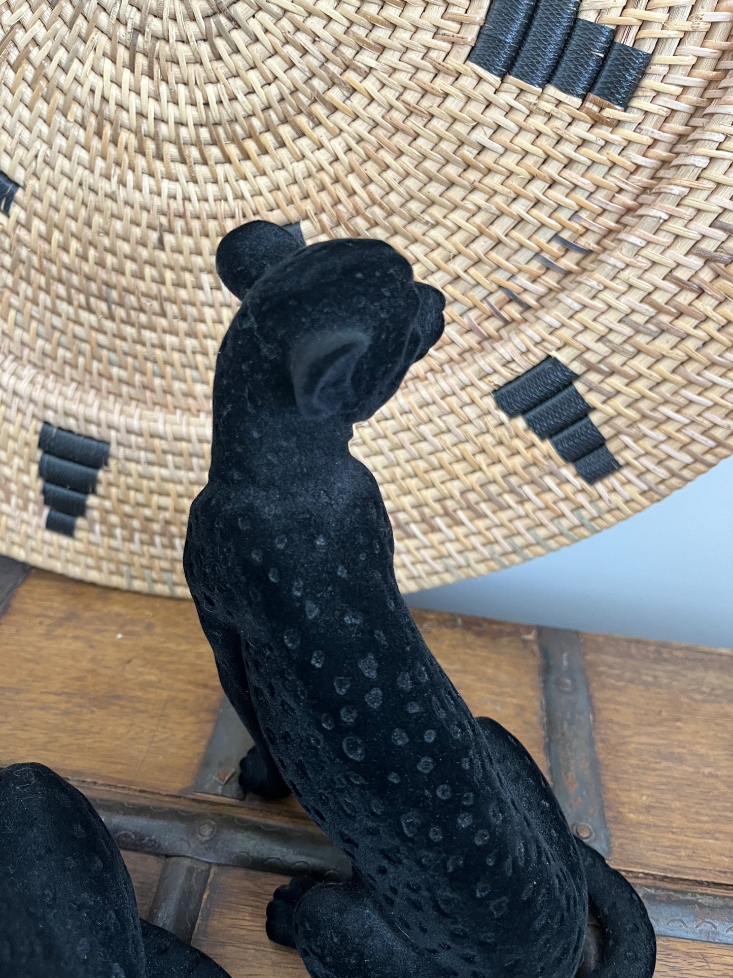 Beautiful pair of Black Cats