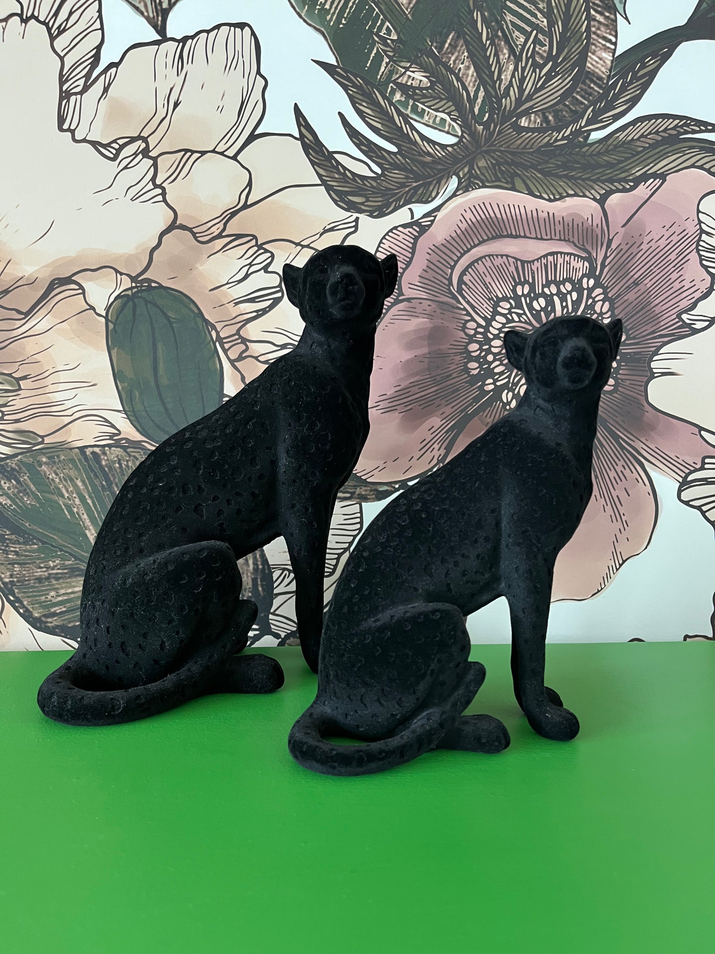 Beautiful pair of Black Cats