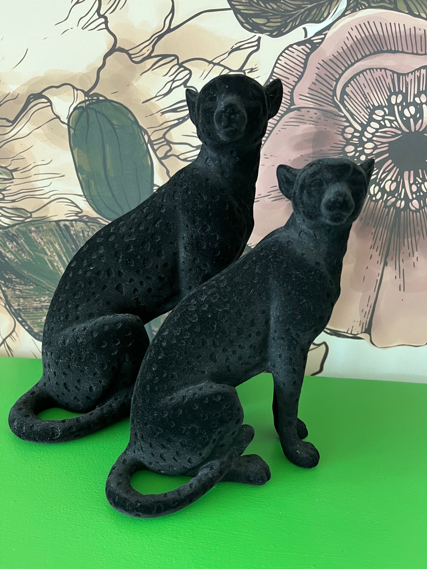 Beautiful pair of Black Cats