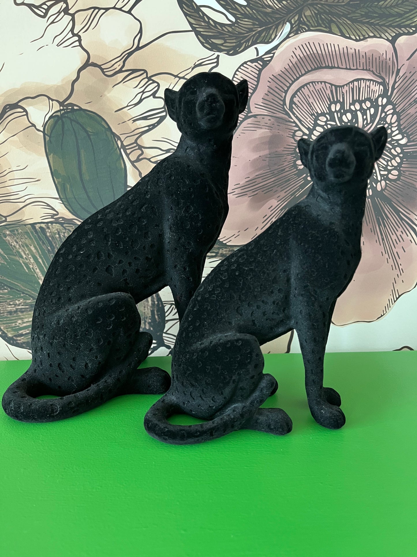 Beautiful pair of Black Cats