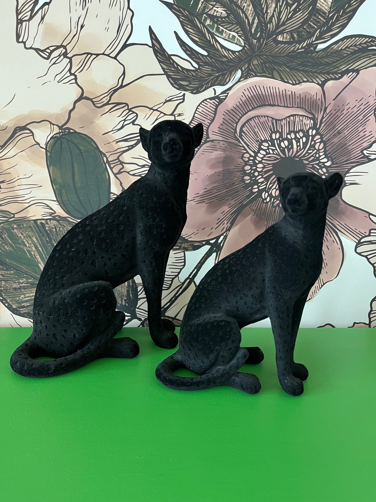 Beautiful pair of Black Cats