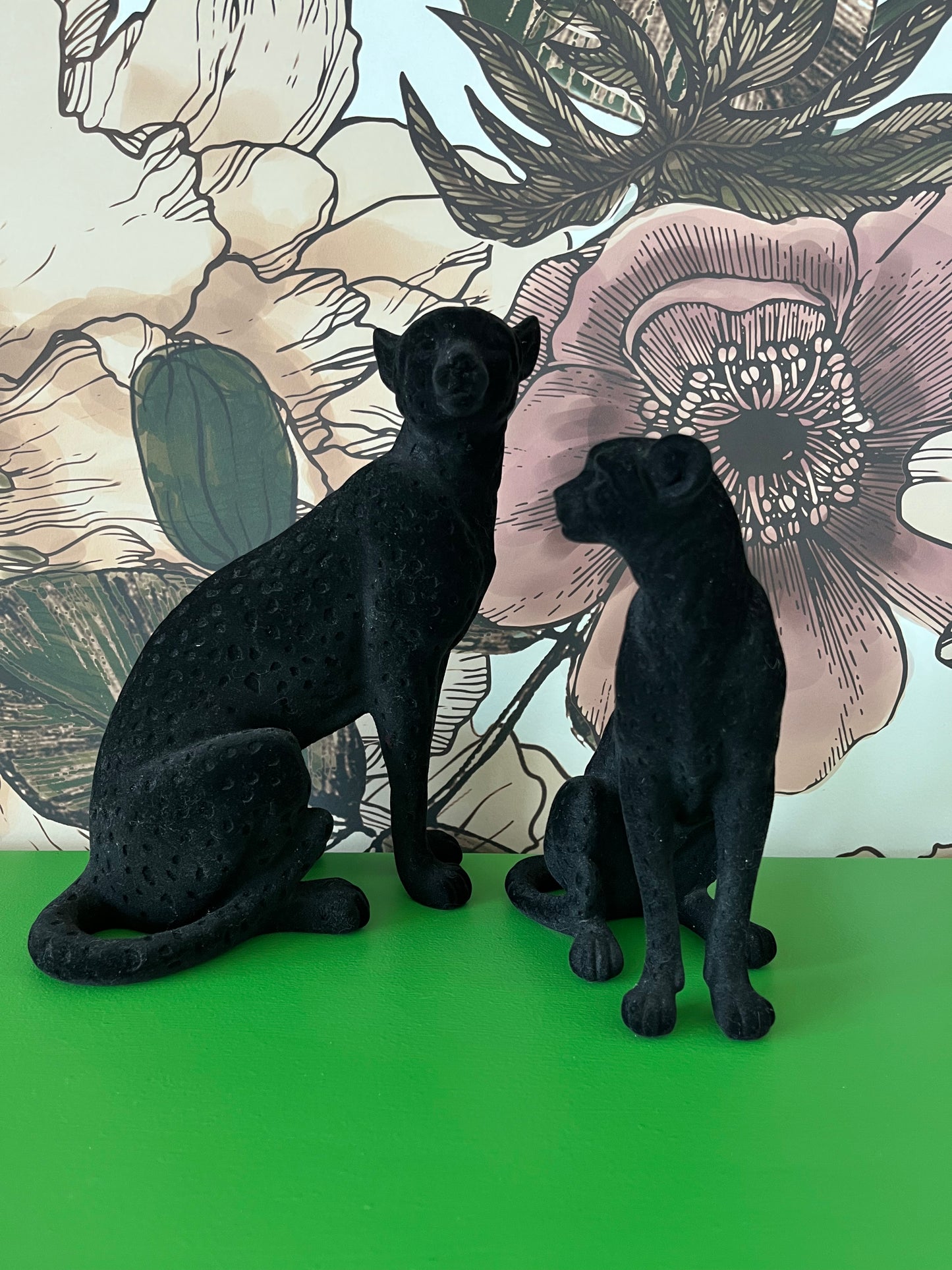 Beautiful pair of Black Cats