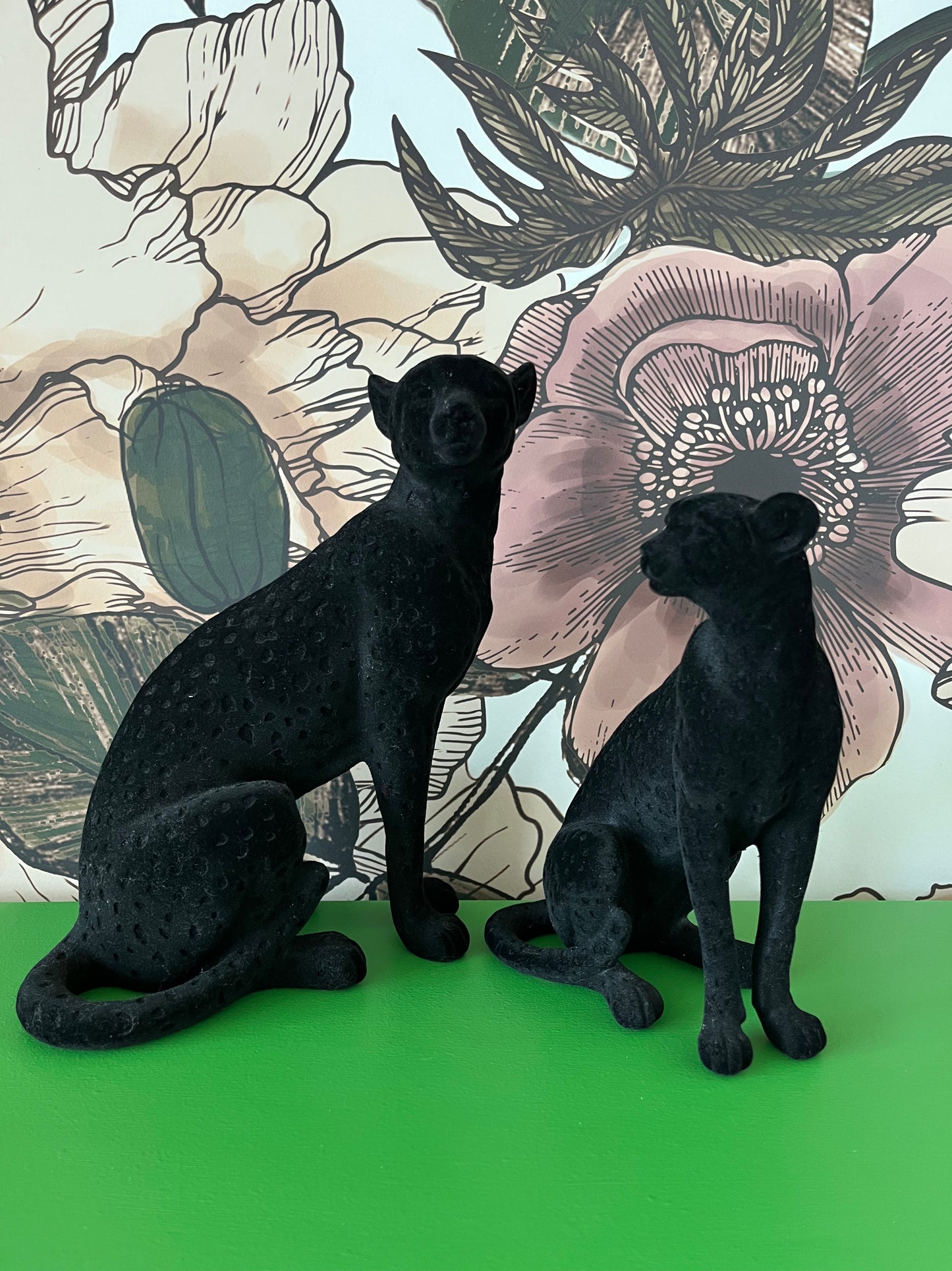 Beautiful pair of Black Cats