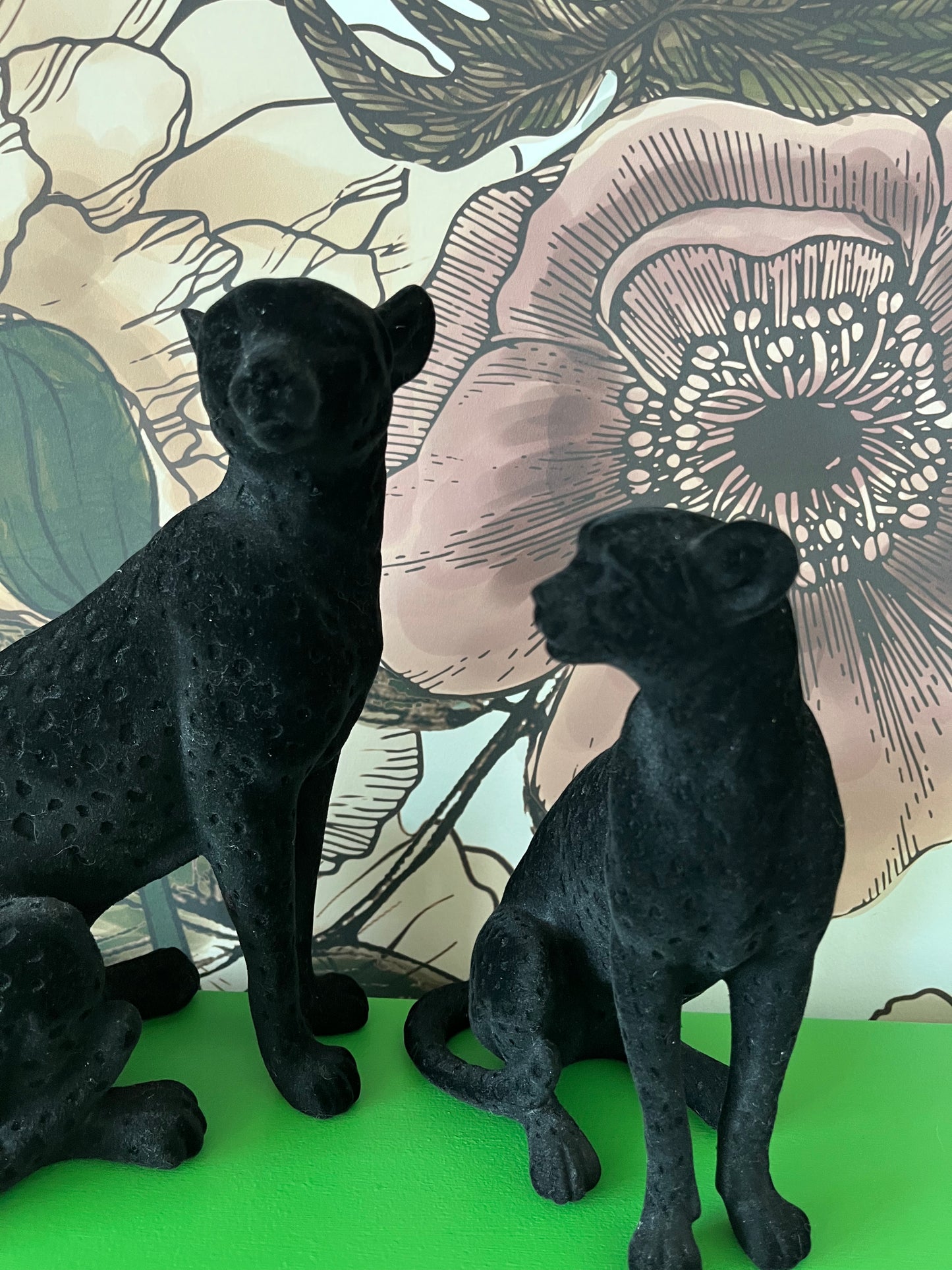 Beautiful pair of Black Cats