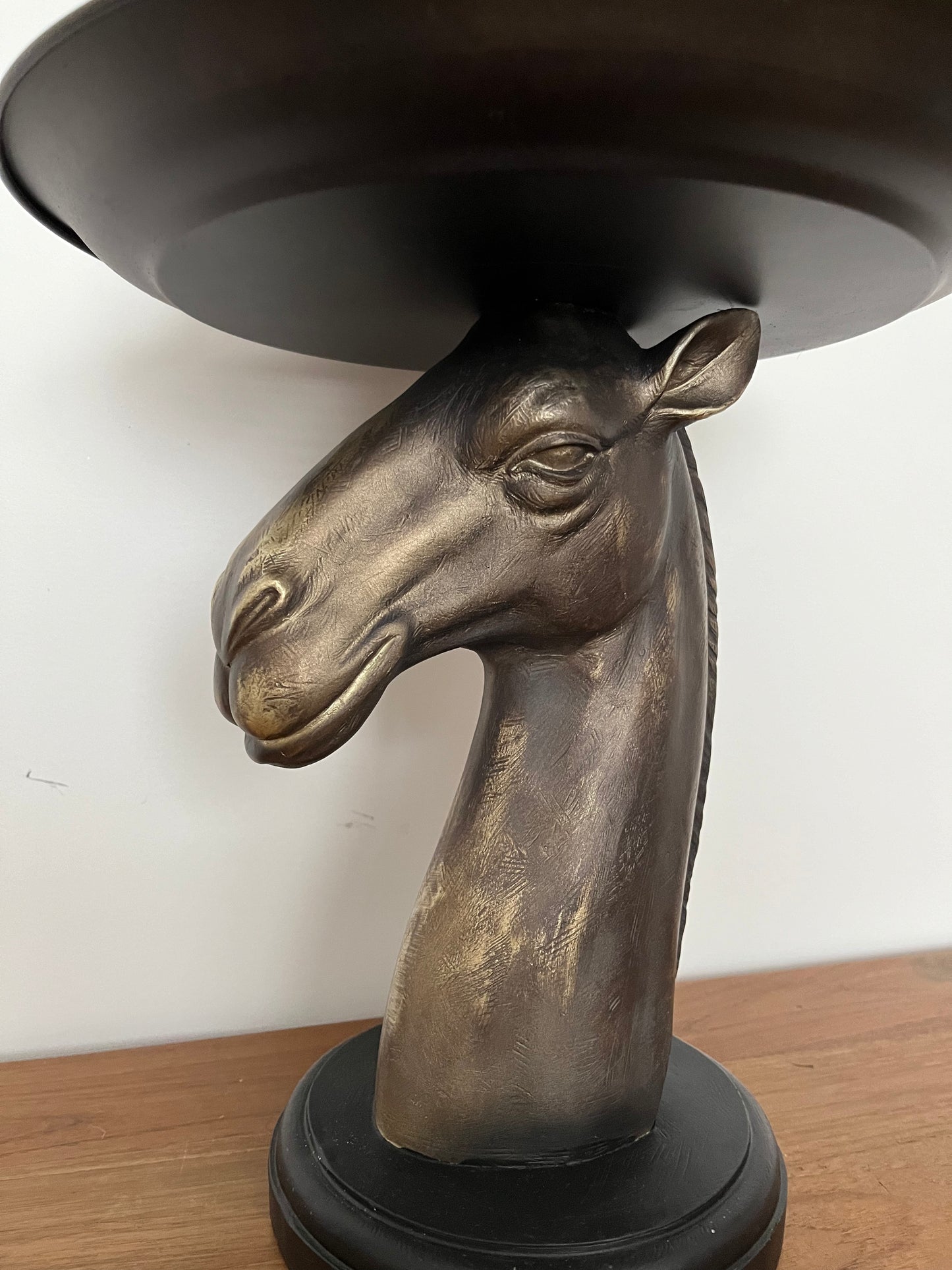 Funky Camel Table Tray