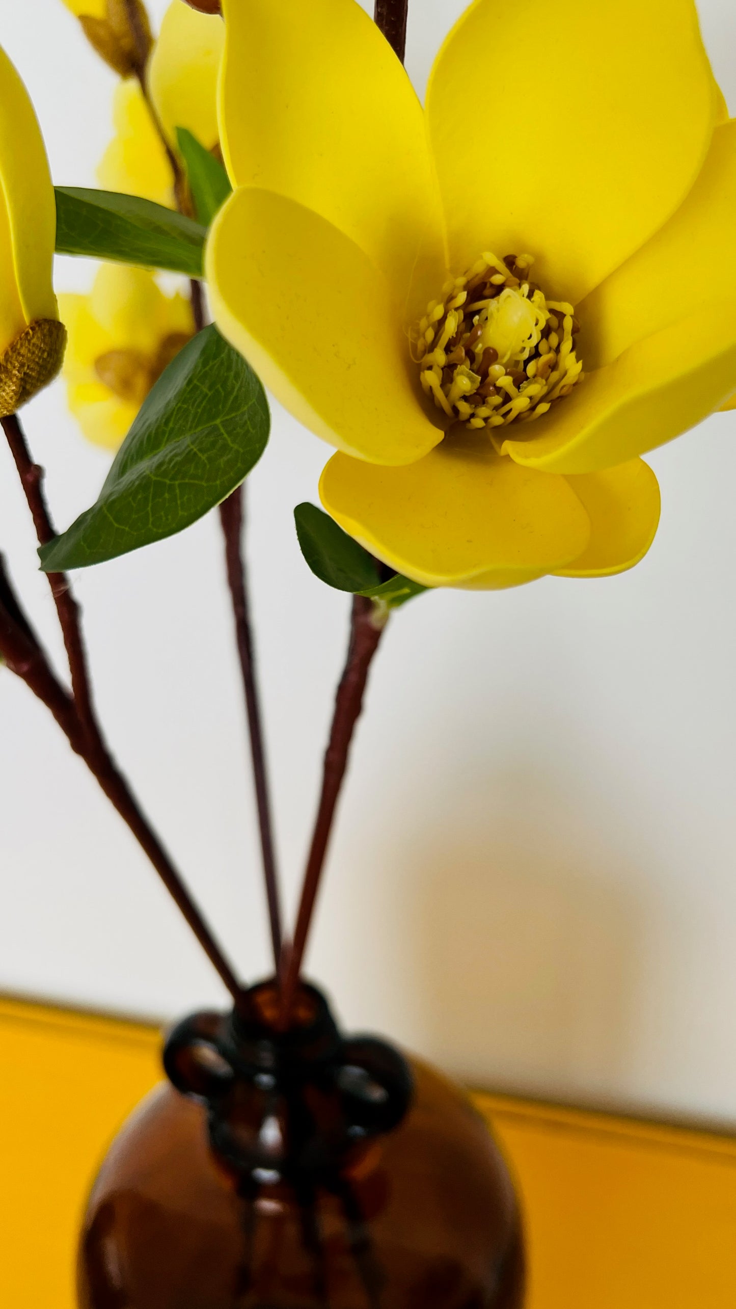 Lovely Amber Jar Vase with Tall Yellow Magnolia Stems