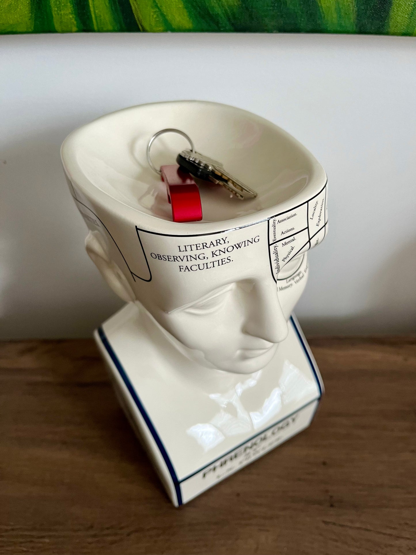 DOIY Phrenology Porcelain Mind Keeper Storage Bowl