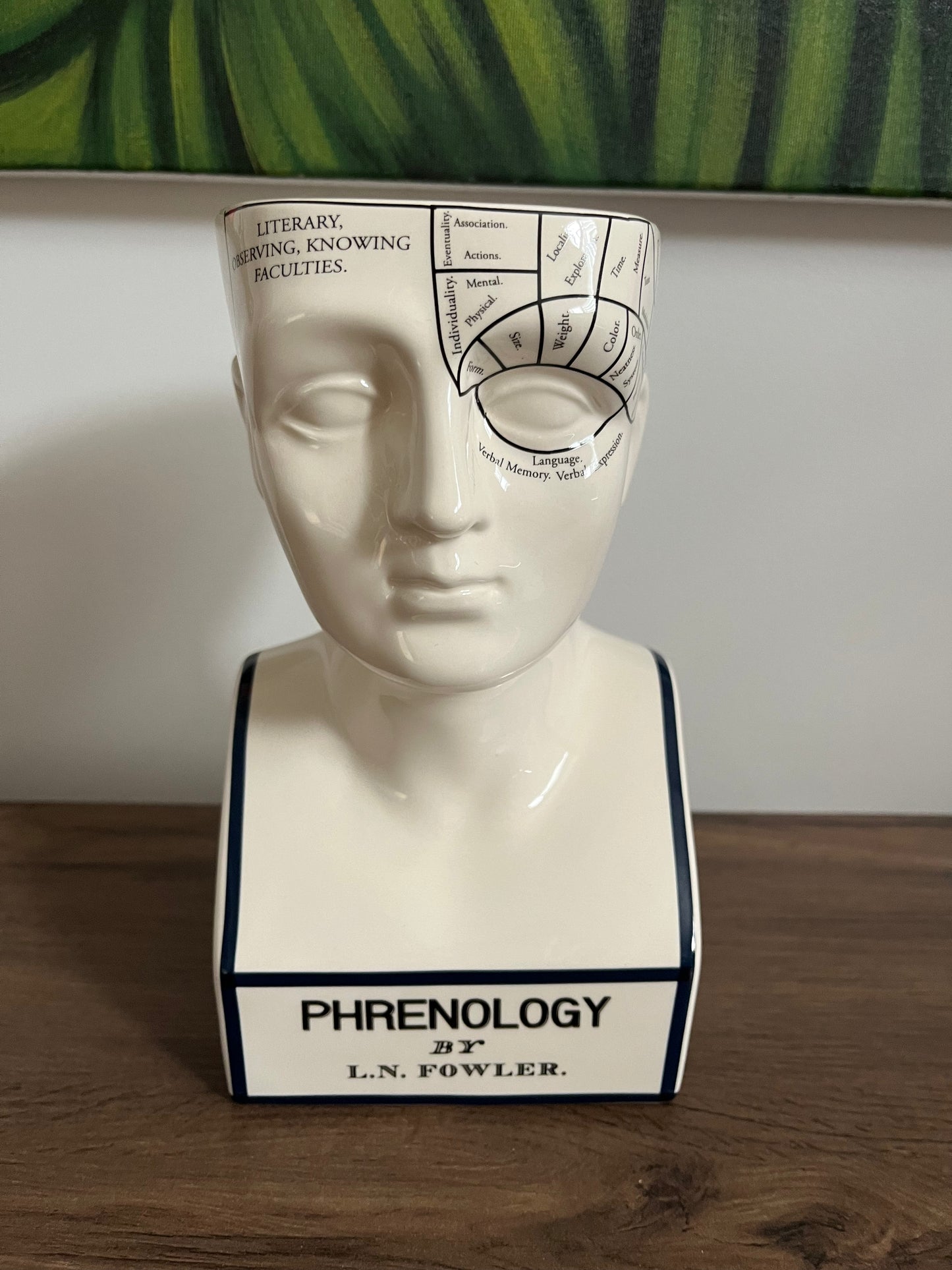 DOIY Phrenology Porcelain Mind Keeper Storage Bowl