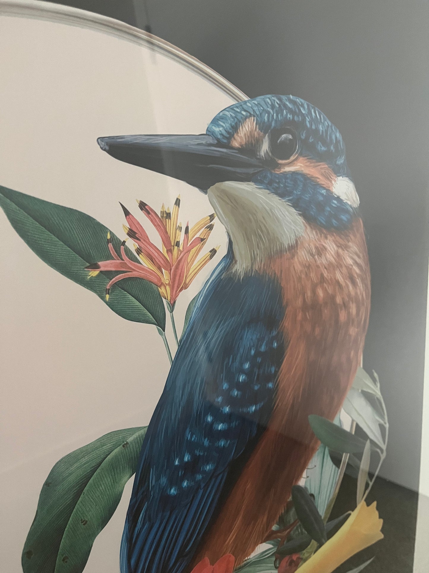 Fabulous Framed Print