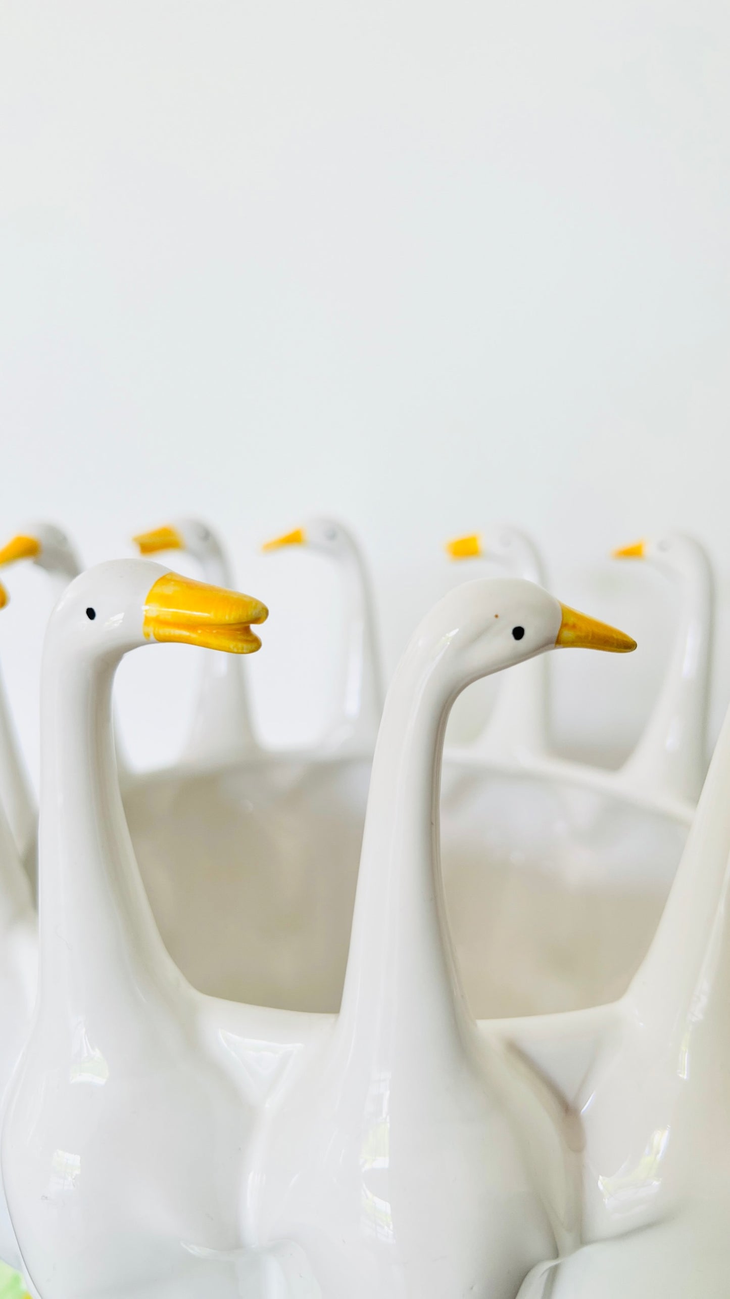 Funky Swan Planter