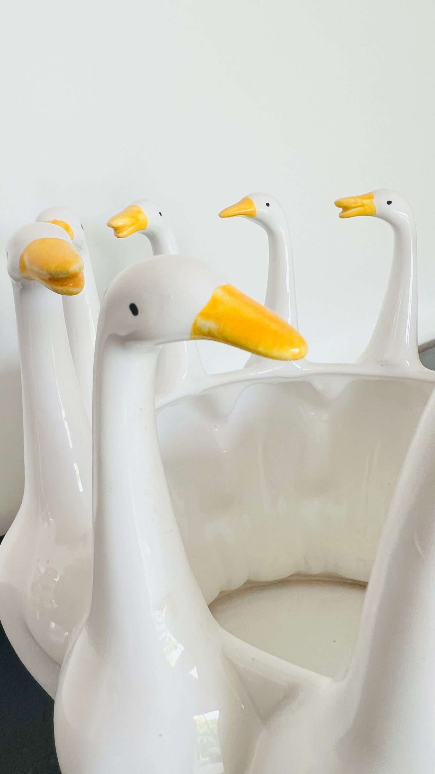 Funky Swan Planter