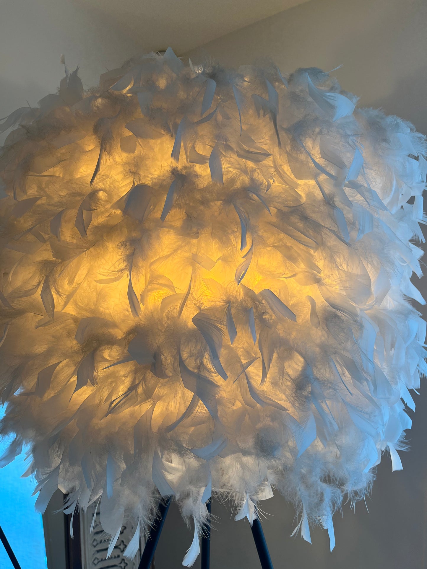 Elegant Feather Floor Lamp