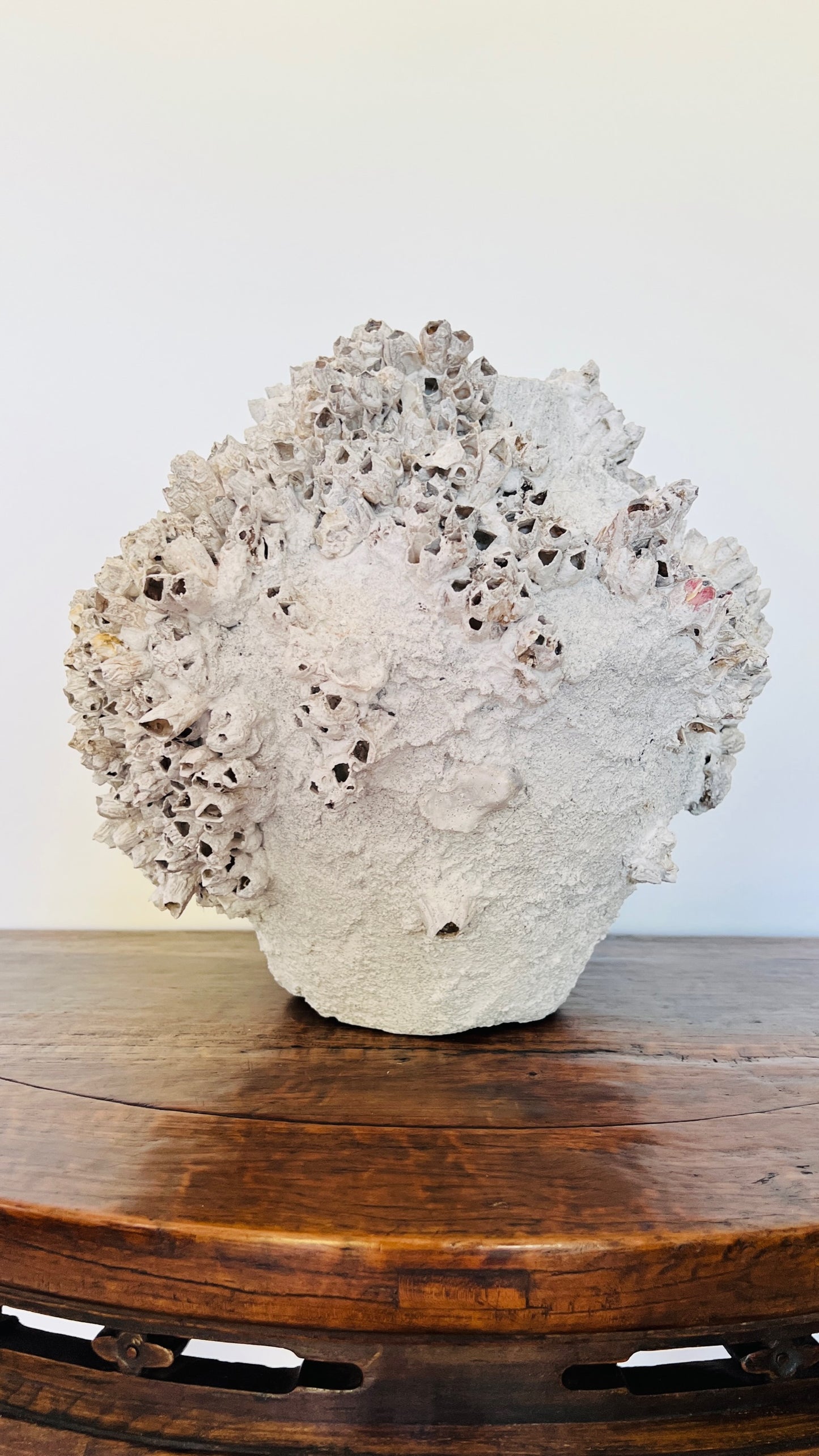 Round Barnacle Pot