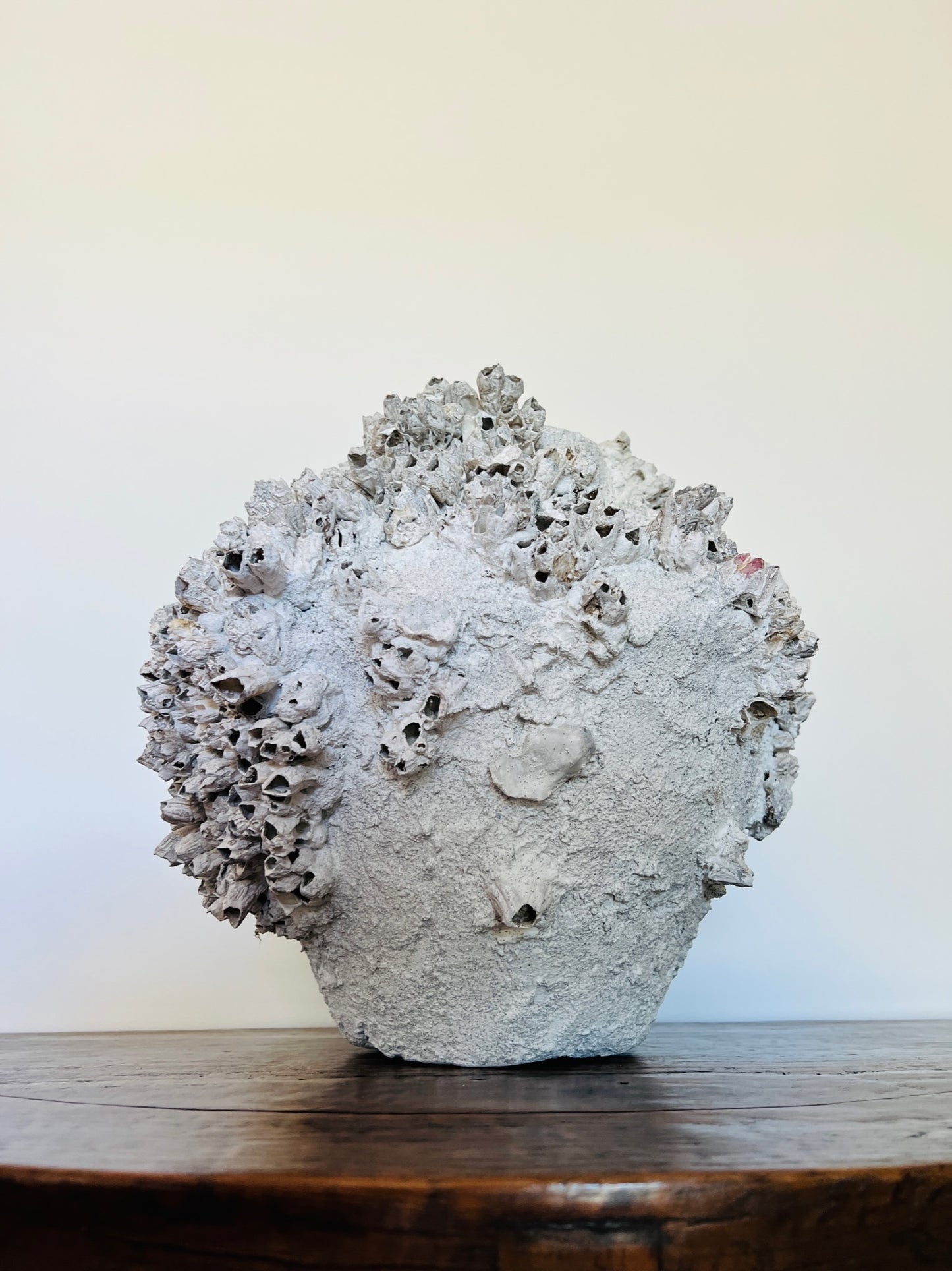 Round Barnacle Pot